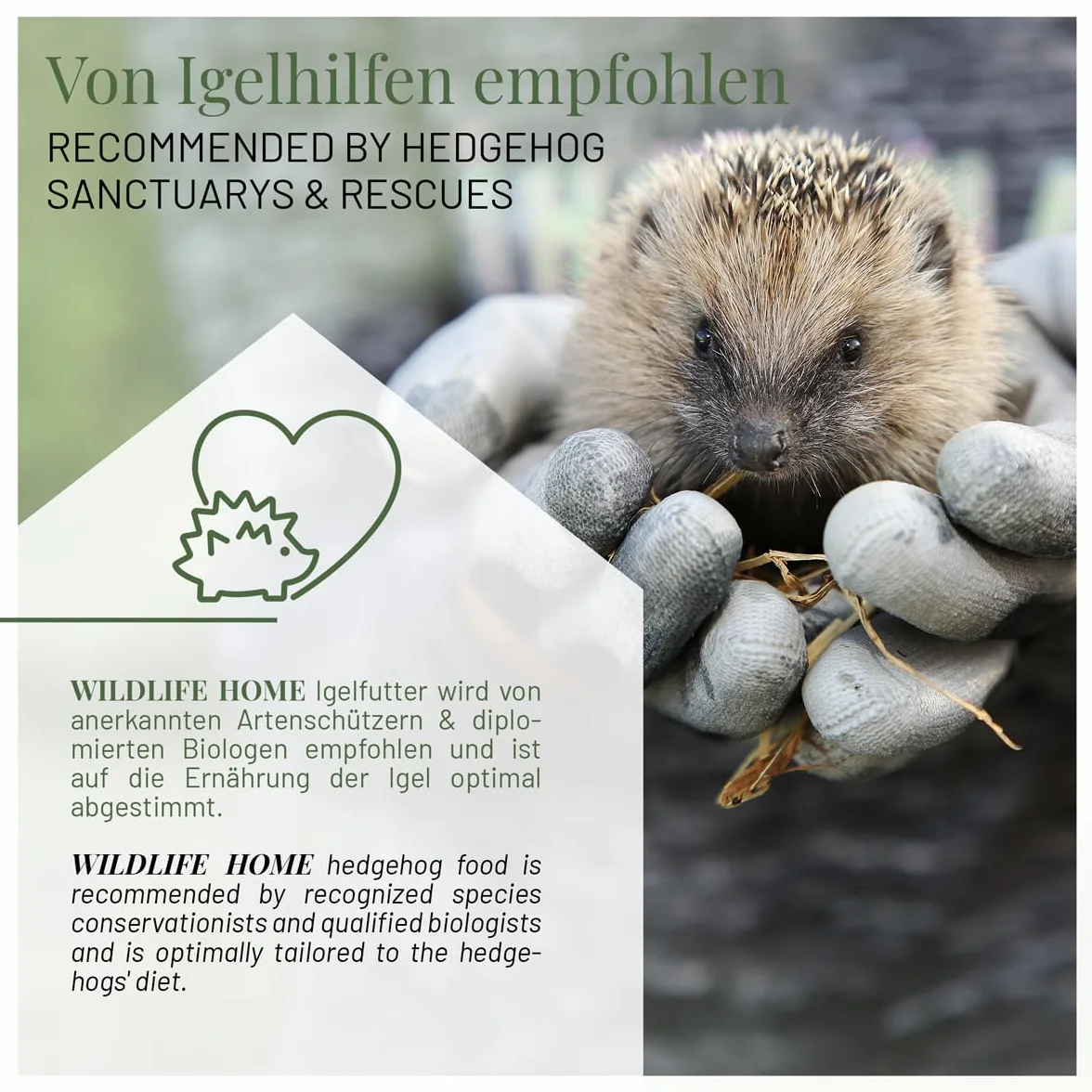 Wildlife Home Nourriture pour hérissons sans céréales 2 kg protéines d'insectes