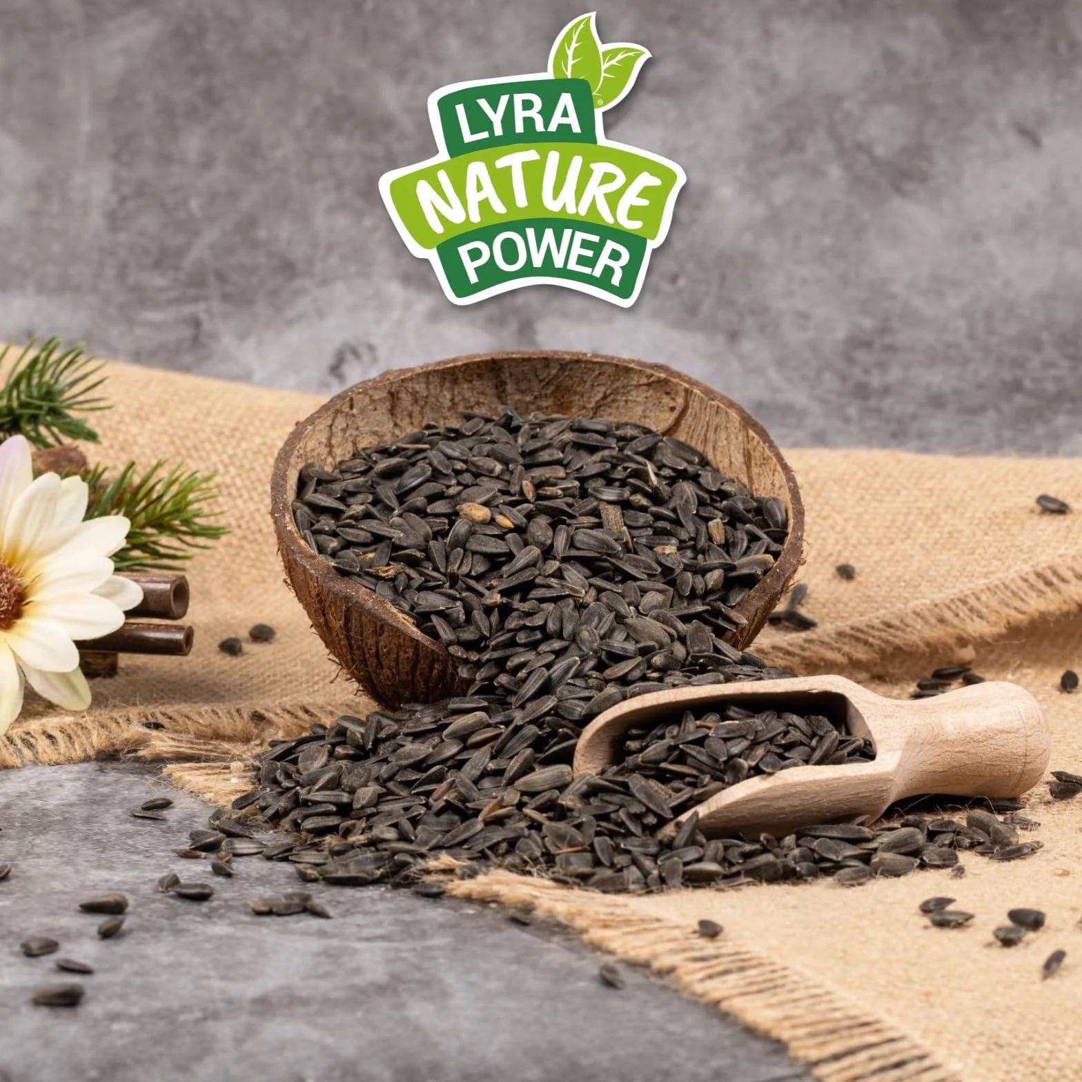 Graines de Tournesol Noir 25 kg Lyra Pet® Nourriture Oiseaux Sauvages Haute Teneur en Huile
