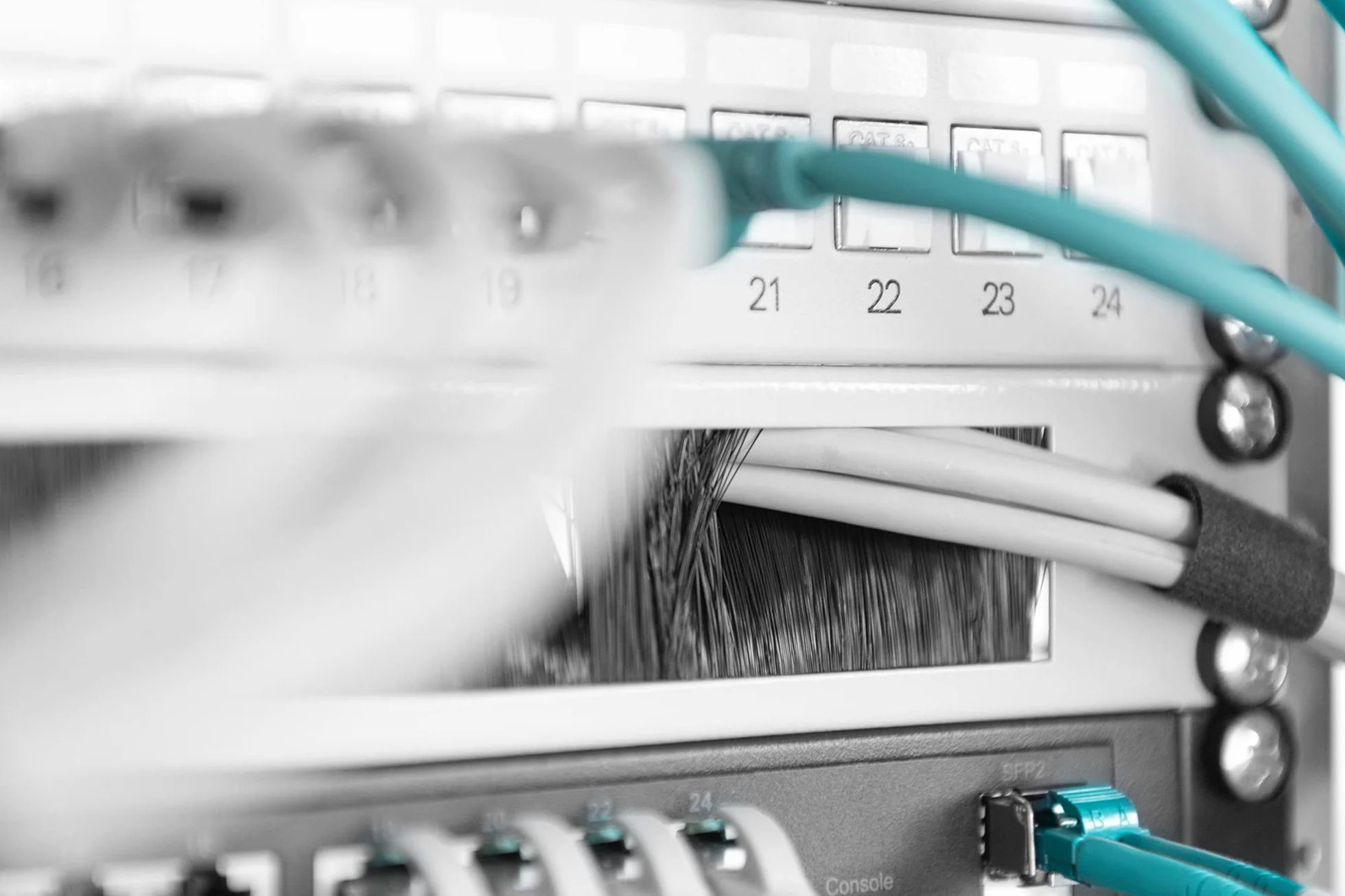 DIGITUS Passe-câble avec brosse 1U 19 pouces pour armoires réseau Gris