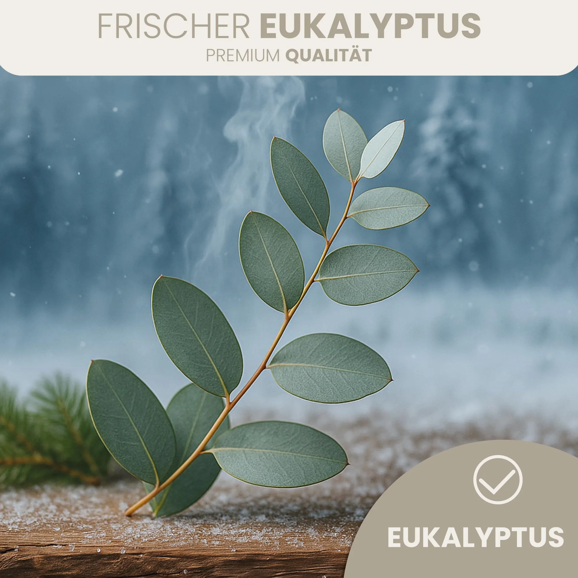 HAF Concentré d'infusion pour sauna Eucalyptus 250 ml | Huile de sauna aux huiles essentielles naturelles