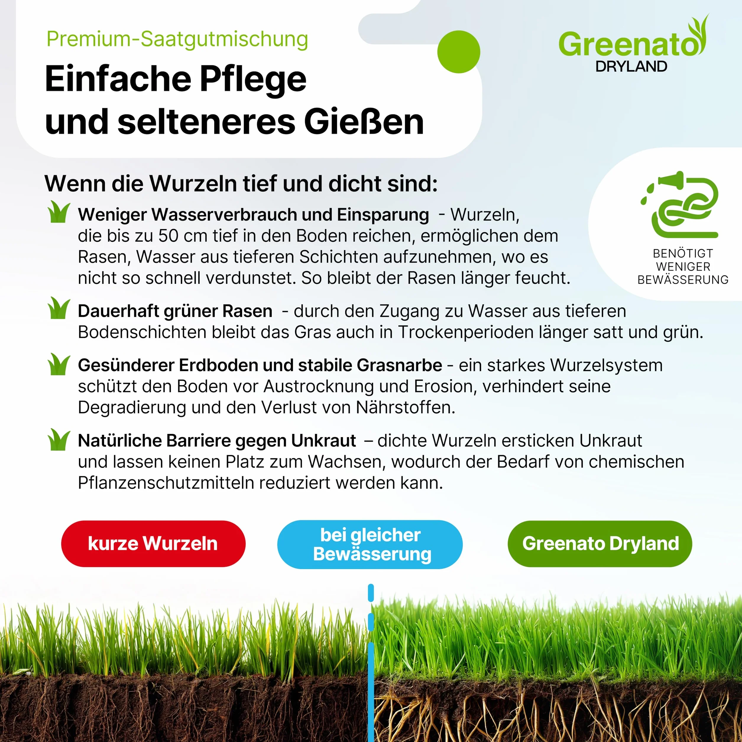Greenato Dryland Graines de gazon résistant à la sécheresse 30kg