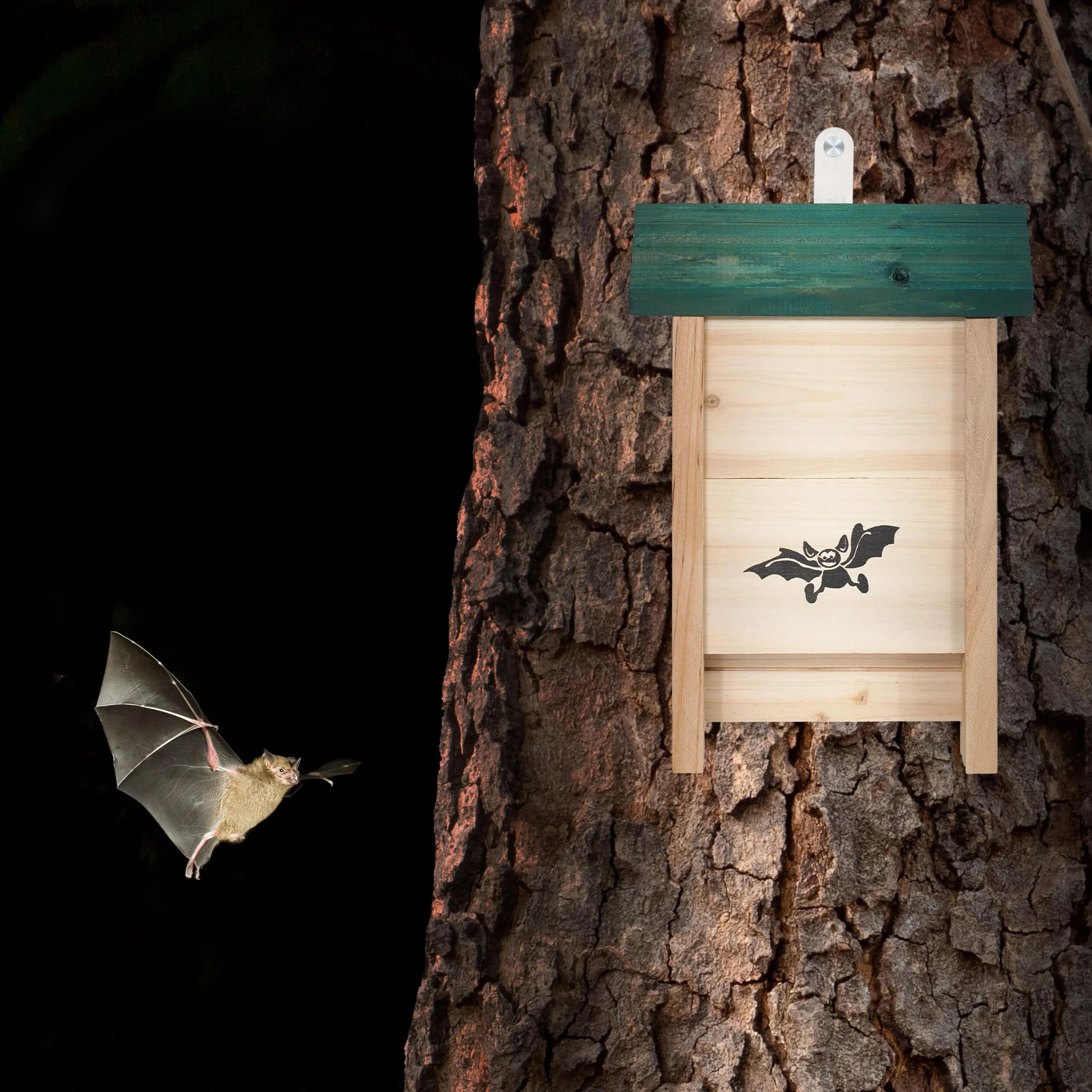 Relaxdays Nichoir à Chauves-Souris Lot de 4 Bois Non traité 25 x 18 x 6 cm Naturel Vert