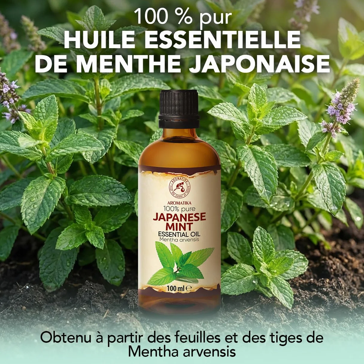 Huile Essentielle de Menthe Japonaise 2x100 ml Mentha Arvensis pour Diffuseur Aromathérapie