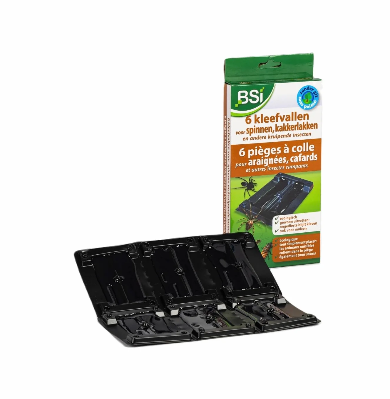BSI - 6 Pieges - A Colle - Anti-Nuisibles - Pour Araignees - Cafards Et Autres Insectes Rampants, Noir