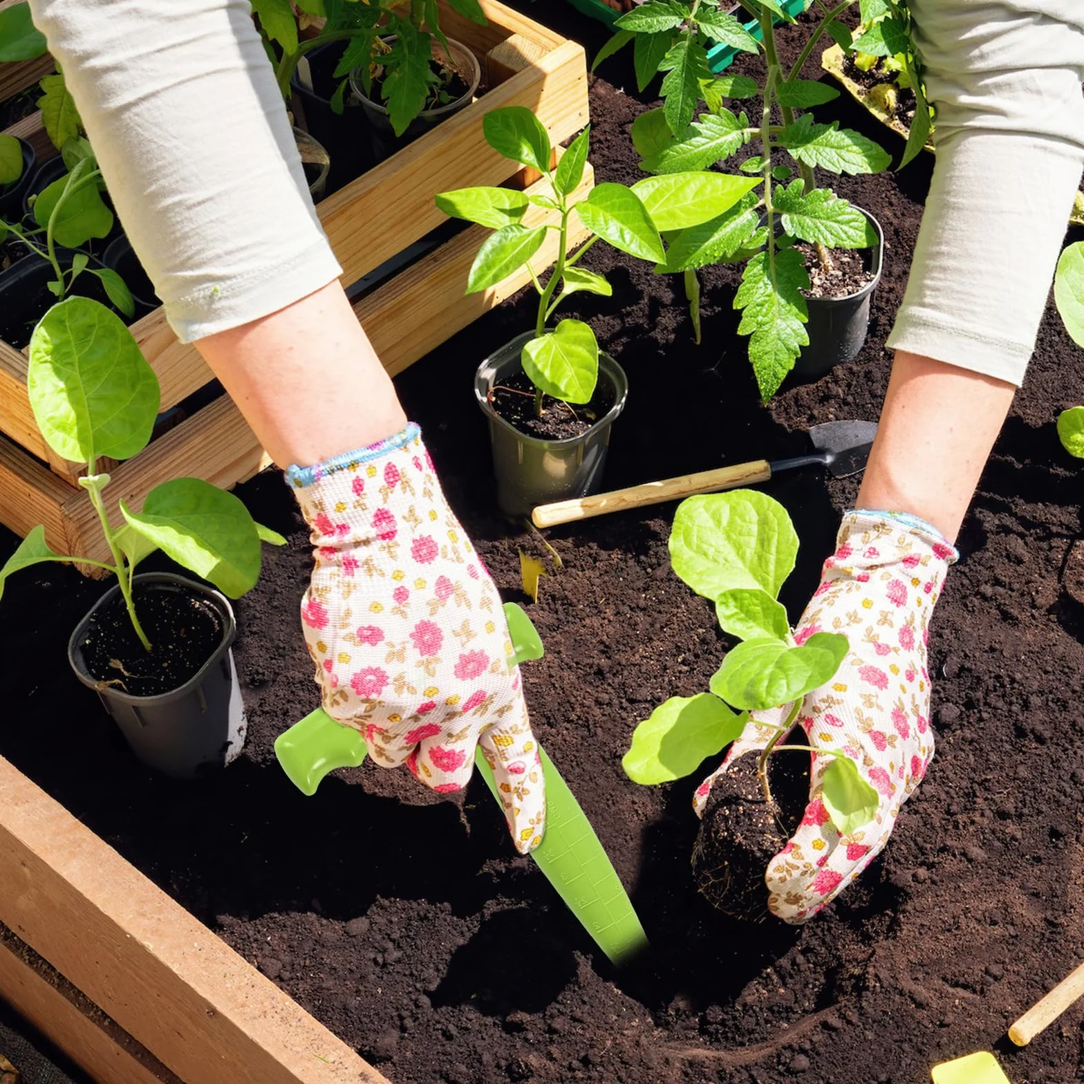 Dereine Outil Jardinage Plantoir, Plantoir Jardinage, Plantoir a Bulbe Jardinage, Plantoir de Jardin, Plantoir, Aides à la Culture des Plantes Succulentes et des Plantes de Jardin