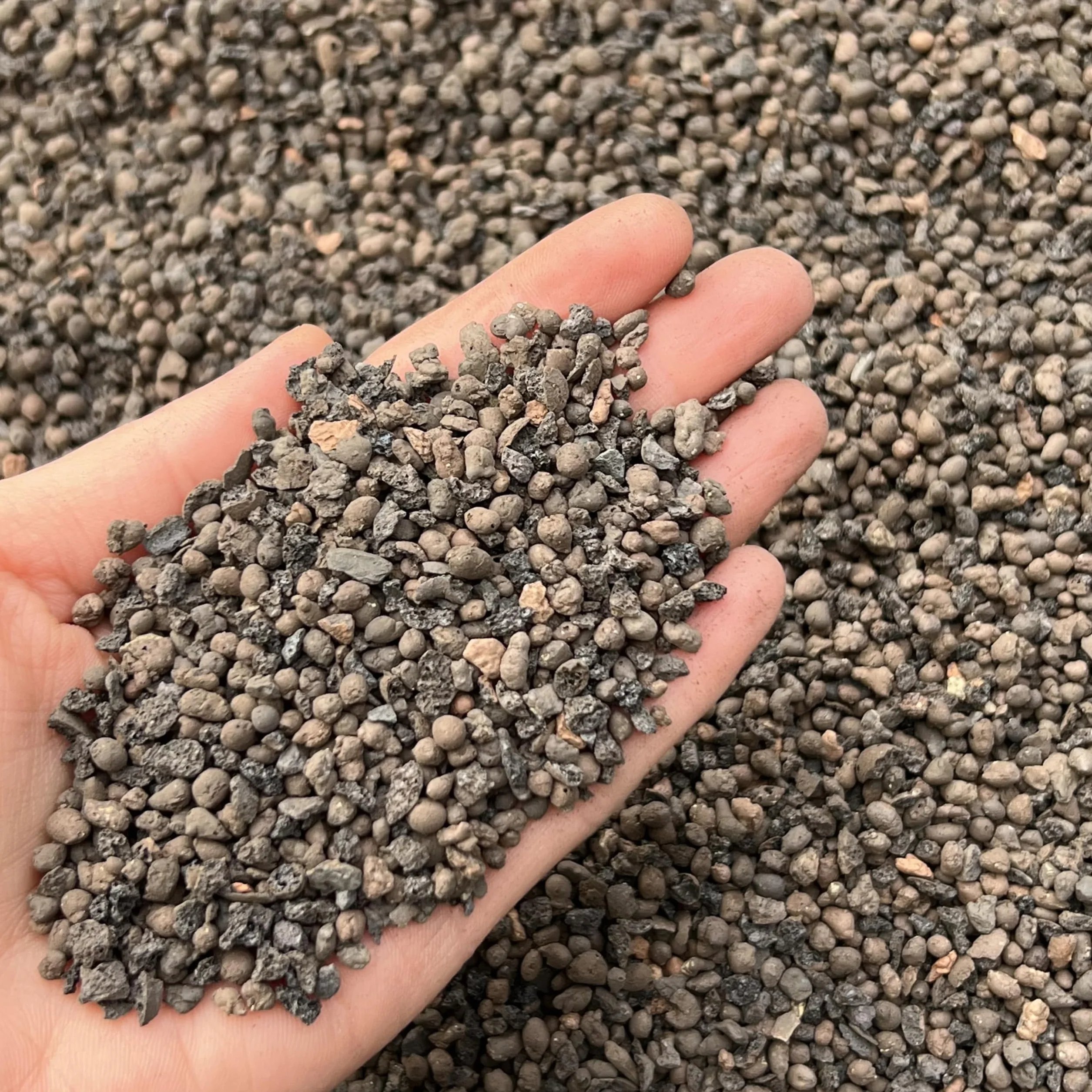 Leca Grains horticoles galets d'argile 2-4 mm 10 L
