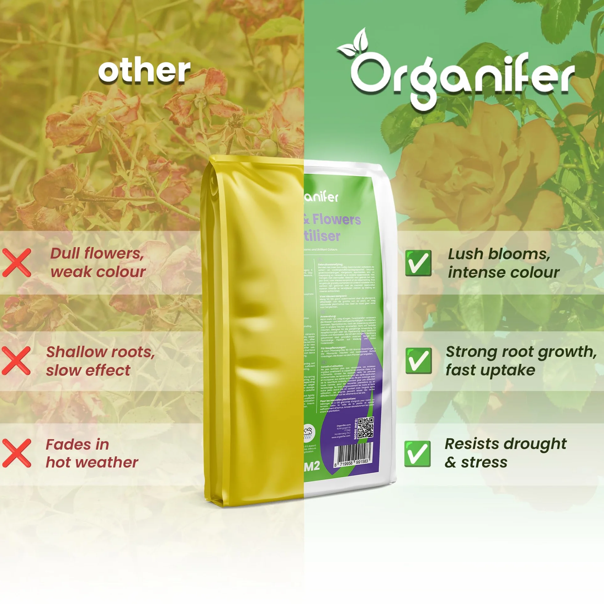 Engrais Pour Rosiers Et Fleurs - Tout-En-Un - 5 Kg Pour 100 M2 - Pour Vivaces Et Plantes À Fleurs - Nutrition Longue Durée, Couleurs Intenses, Racines Fortes Et Floraison Abondante - Organifer