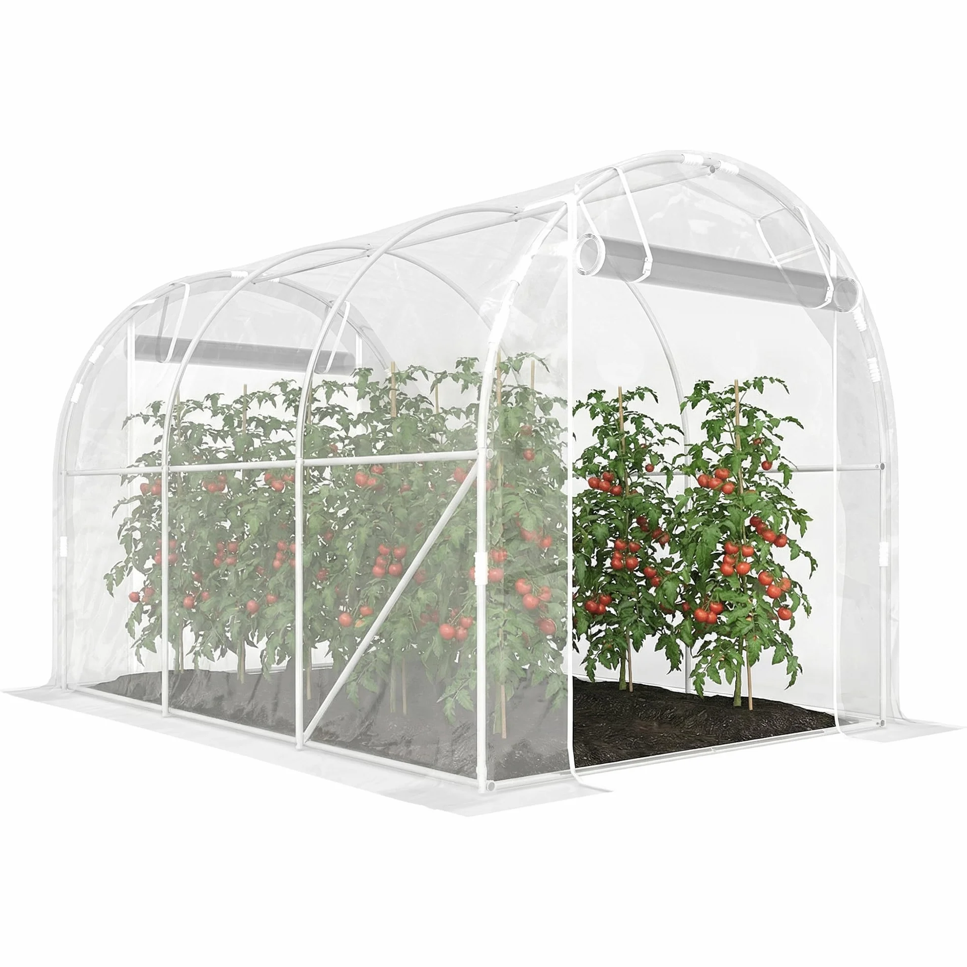 Outsunny Serre Tunnel de Jardin 6m², Serre de Jardin Tunnel 195x295x195cm avec Cadre Acier galvanisé, 2 Portes, bâche PE Haute densité 150g/m² prolongée de 20 cm, pour extérieur Transparent