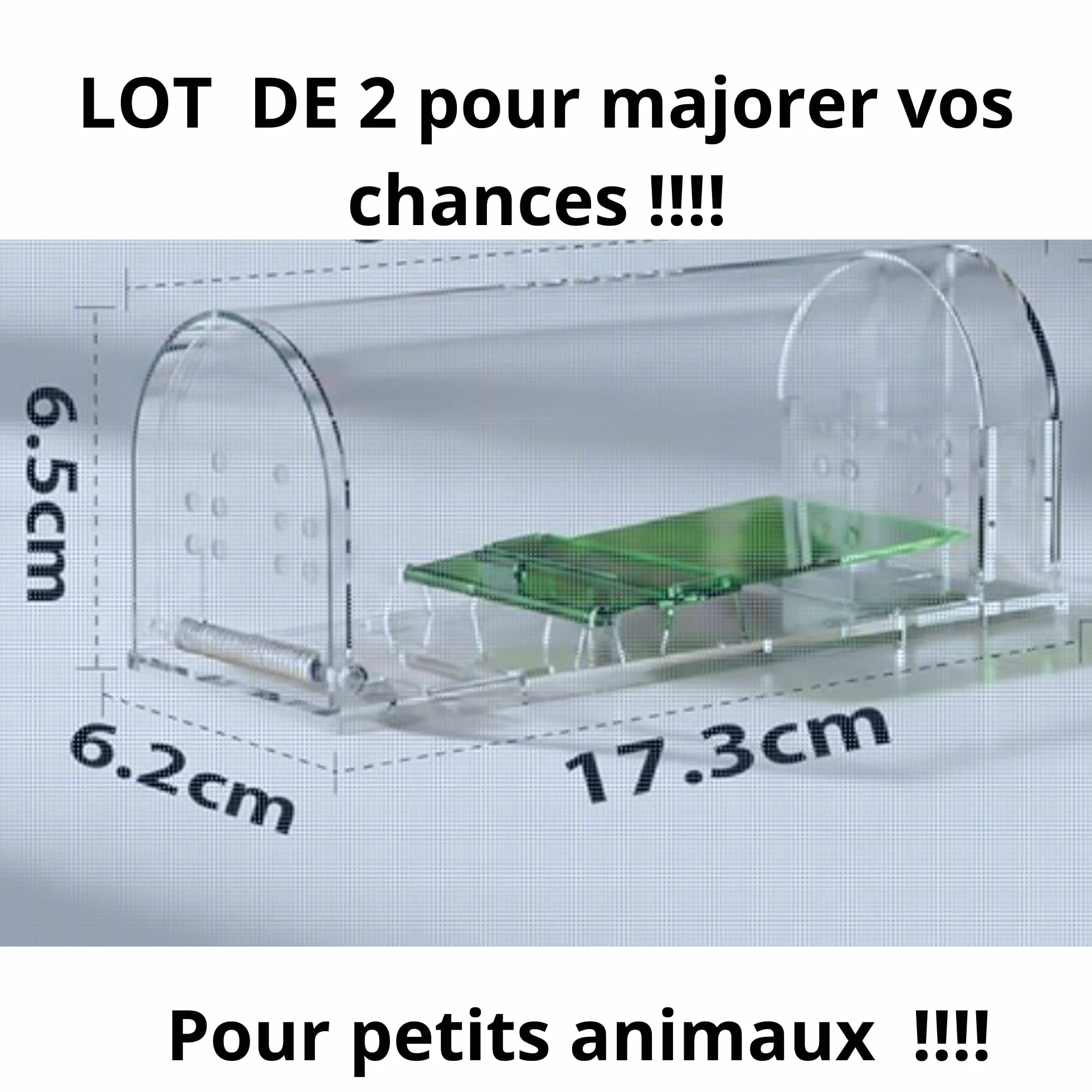 Piège à Souris vivantes Lot de 2 - boîte d'appât avec trous de ventilation et porte de sortie - Usage Intérieur et Extérieur Réutilisable