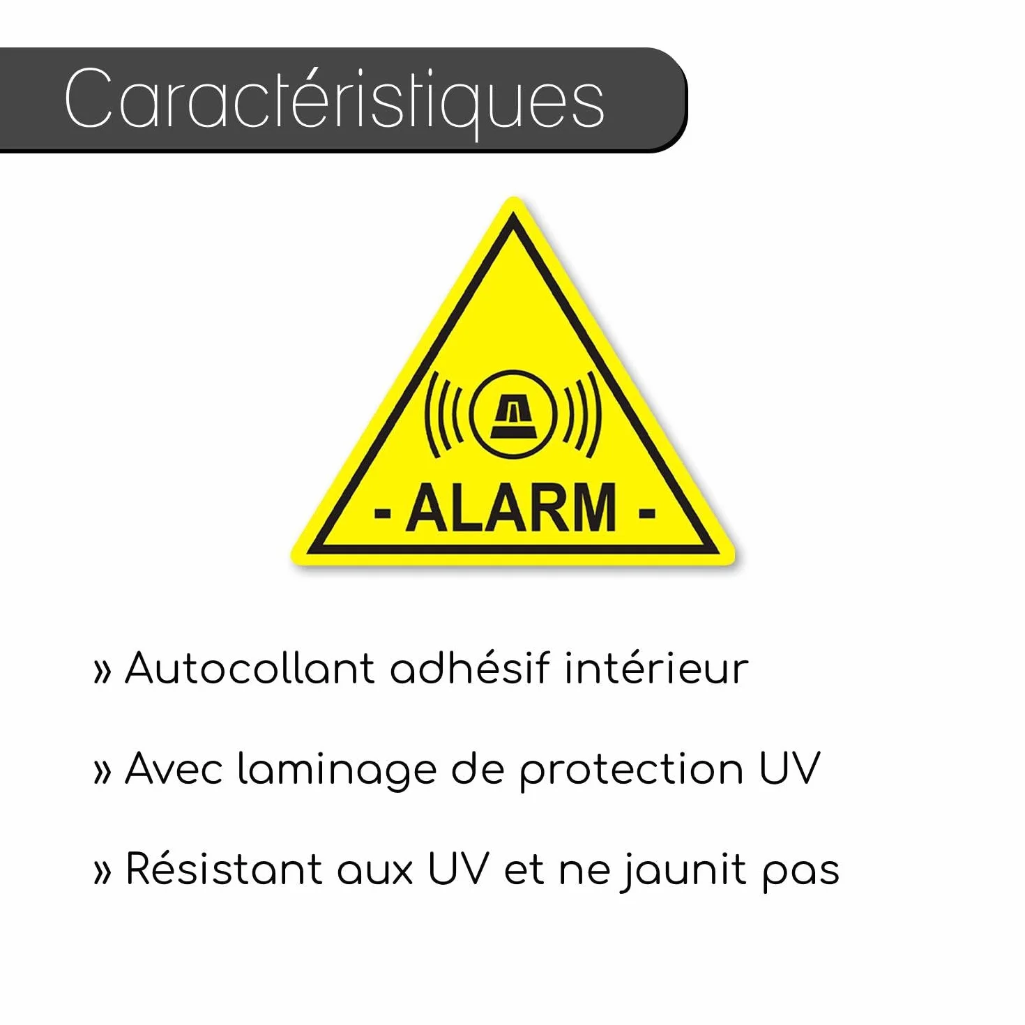 Autocollants Alarme 5 x 4 cm Indication Système d'Alarme Collage Intérieur Lecture Extérieure Maison Voiture Entreprise