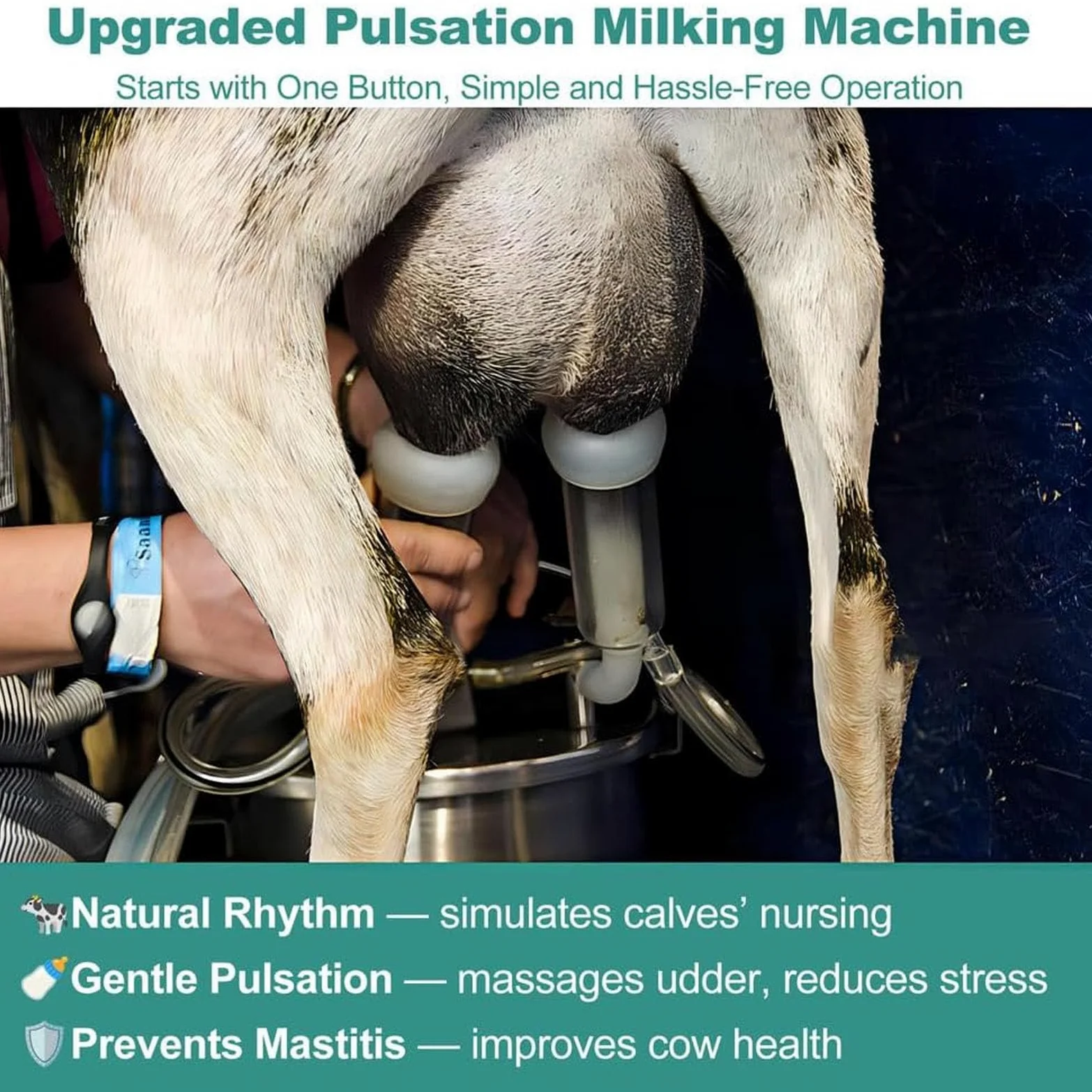Machine À Traire Électrique Avec Technologie De Pulsation - Capacités 3L-14L Et Arrêt Automatique | Réservoir En Acier Inoxydable Pour Vaches Et Chèvres | Usage Domestique Et Agricole , 10L, goat