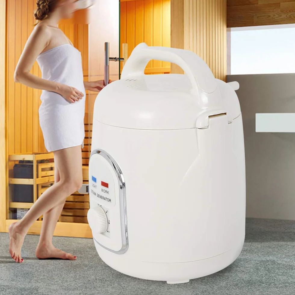Générateur de vapeur 900 W 1,5 l Portable avec minuterie