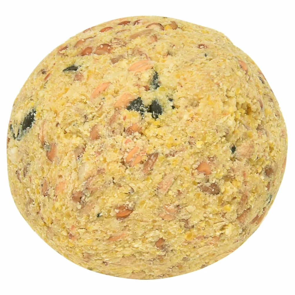 vidaXL 200x Boules de Graisse 90 g Nourriture Oiseaux Sauvages