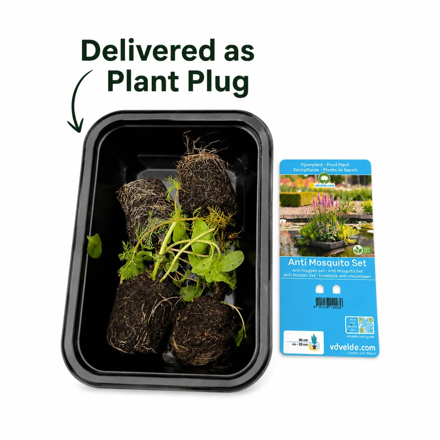 Vdvelde Set Plantes Anti-Moustiques pour Bassin Île Flottante avec 4 Plantes Aquatiques Kit complet