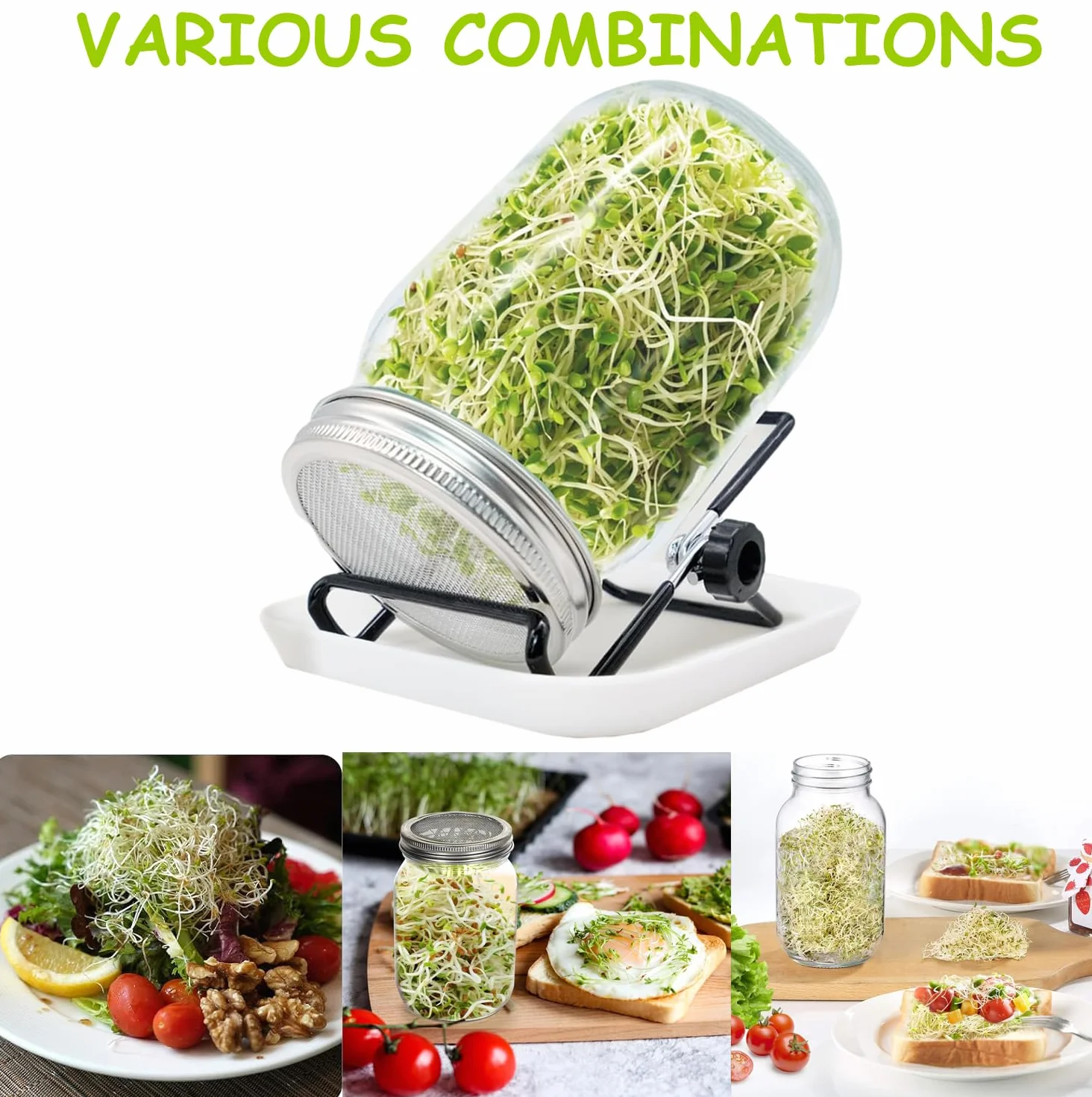 Lot de bocaux à germer 1000 ml pour germination en verre à germination avec 1 bol à eau, 1 couvercle en acier inoxydable 304 et 1 support, pour alfalfa, brocoli, haricots mungo