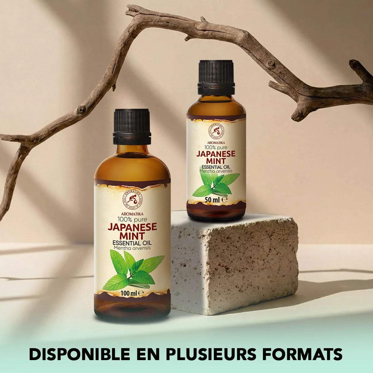 Huile Essentielle de Menthe Japonaise 2x100 ml Mentha Arvensis pour Diffuseur Aromathérapie