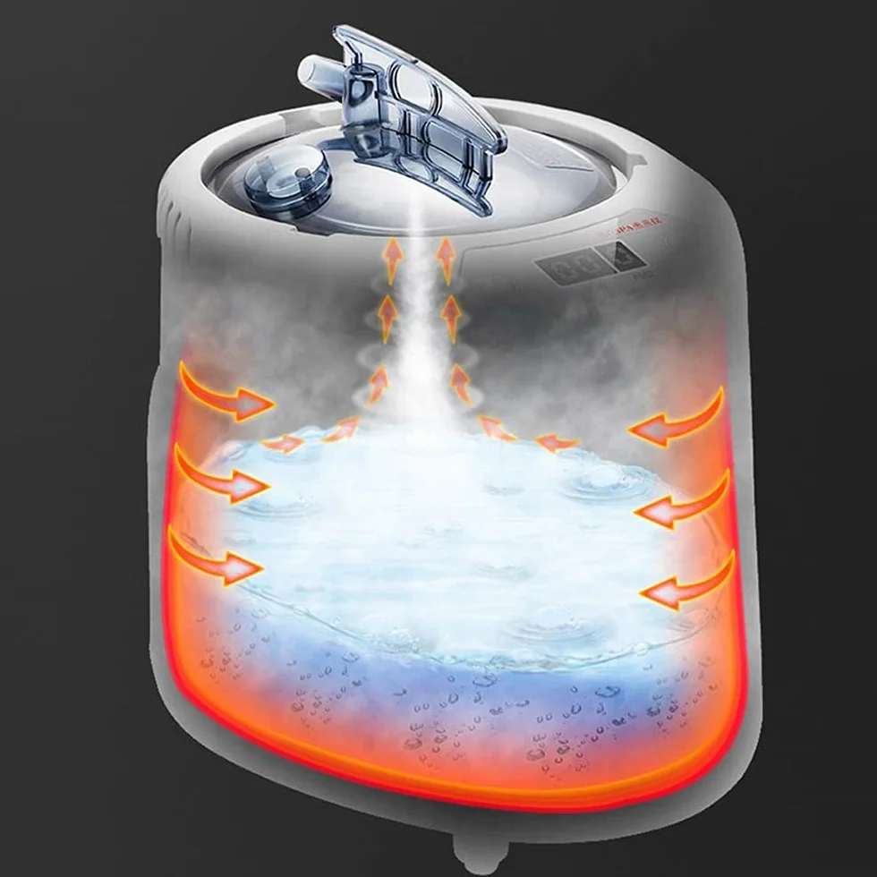 Générateur de vapeur mobile 2 l 1000 W chaudière sauna