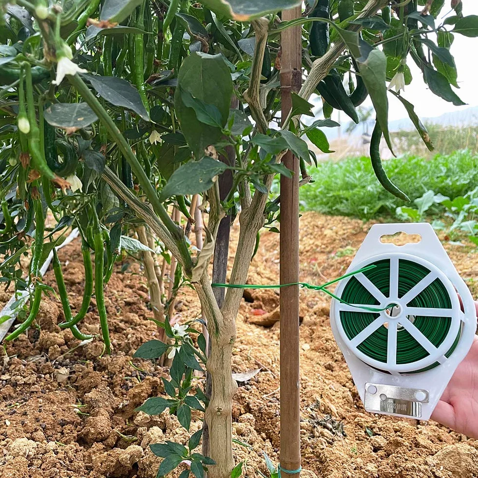 Tenn Well Fil de Serrage pour Jardin, 100 M, Fil Torsadé pour Plantes Grimpantes, Vignes, Arbustes et Fleurs (Vert)