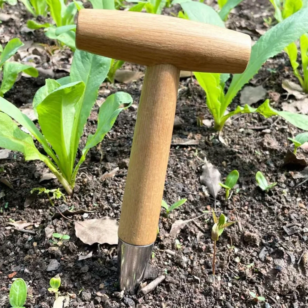 Plantoir à bulbes avec Pointe en INOX,Plantoir à Main Traditionnel,Outil de Perforation de Jardin,plantoir à Main en Acier Inoxydable avec Manche de 28 cm Plantoir,semoir Pratique