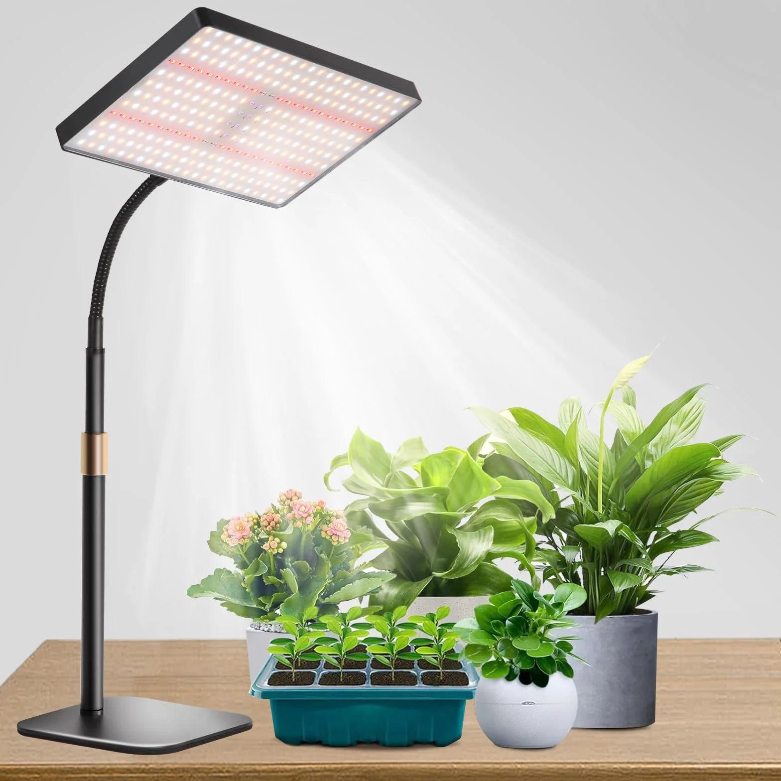 Railee Lampe de Plante 286 LEDs Lampe de Croissance Spectre Complet avec UV-IR Lampe Horticole LED Avec Chronométrage Auto ON/OFF 10 Niveaux Dimmables
