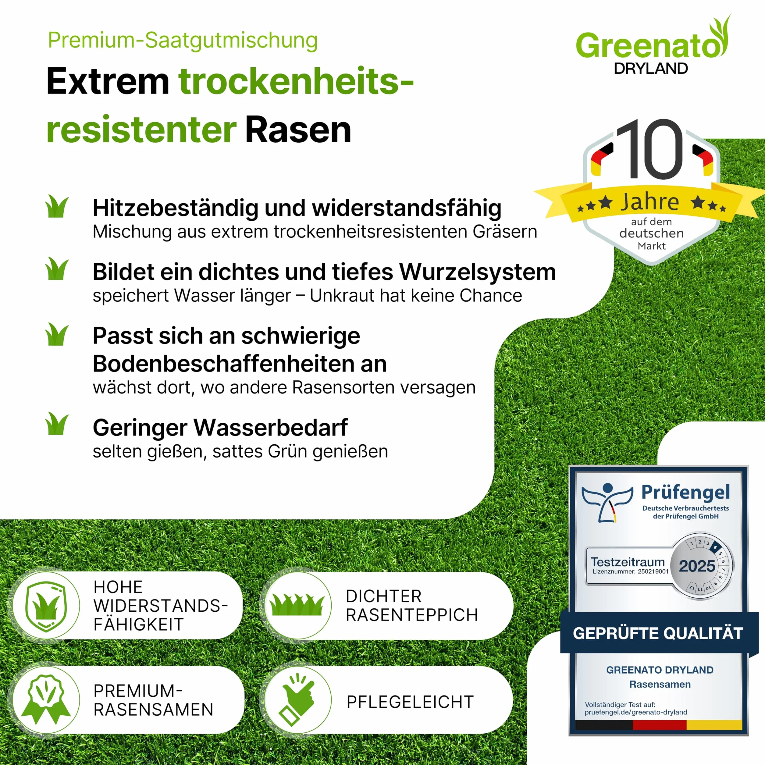 Greenato Dryland Graines de gazon résistant à la sécheresse 30kg