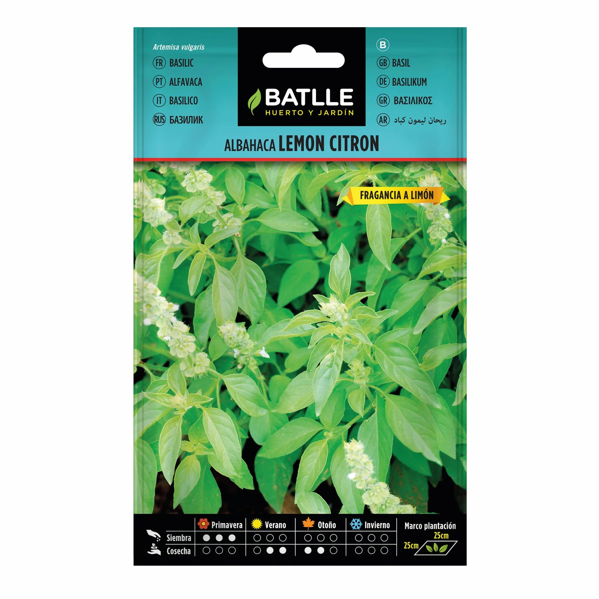 Basilic Lemon Citron