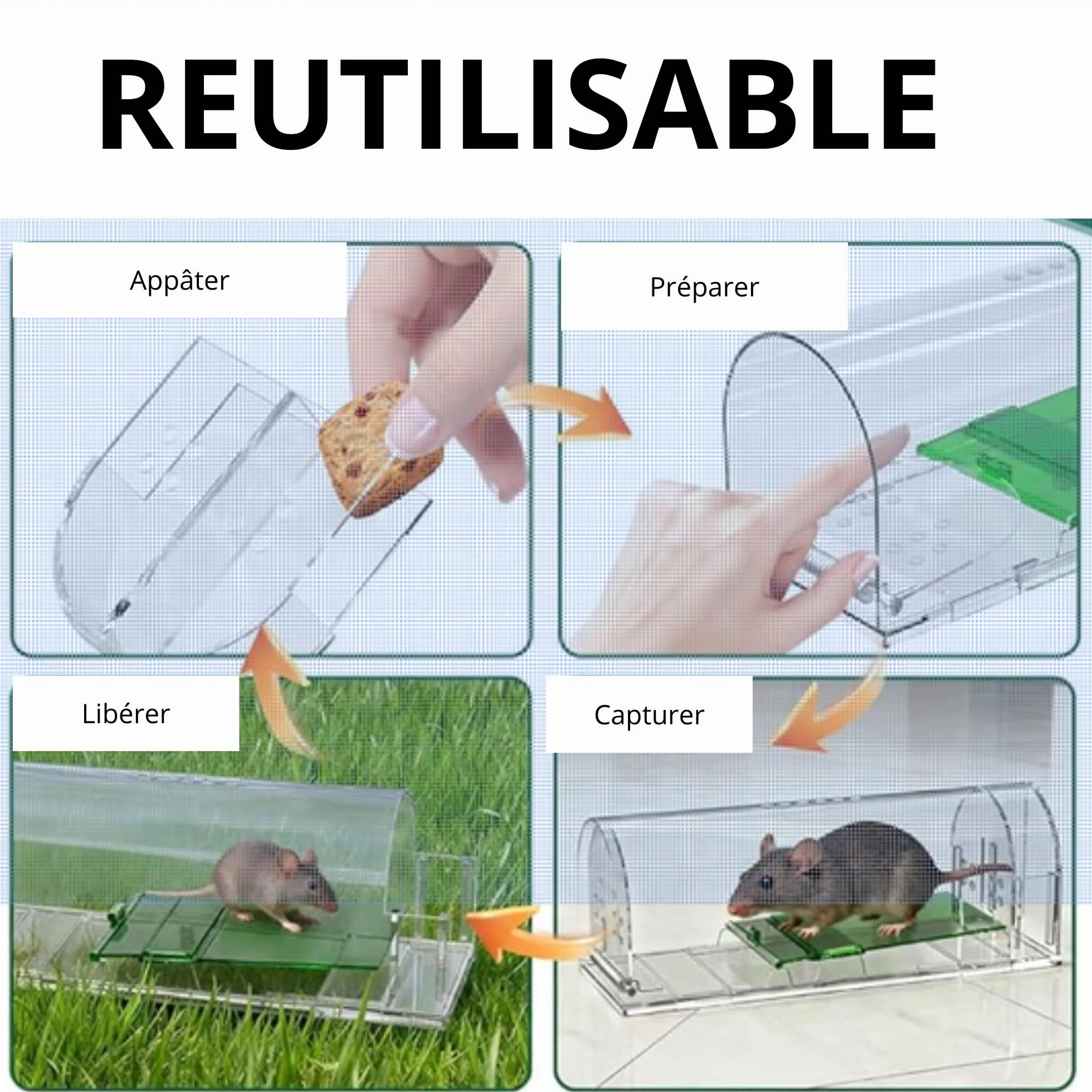 Piège à Souris vivantes Lot de 2 - boîte d'appât avec trous de ventilation et porte de sortie - Usage Intérieur et Extérieur Réutilisable