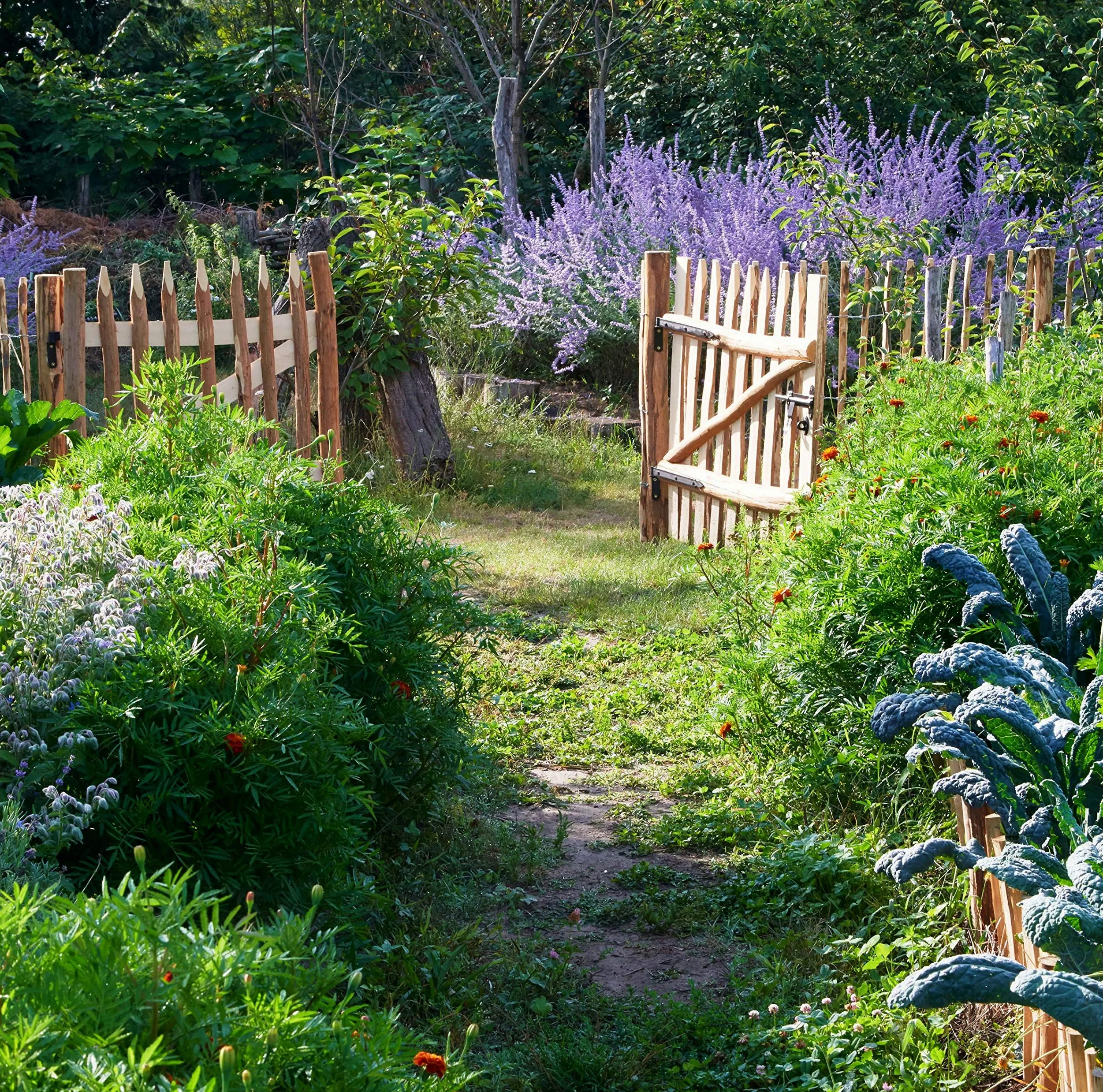 BOGATECO Grande Portillon Ferme Jardin en Bois | Largeur: 100cm | Hauteur: 120 cm | Largeur Entre Piquets de Clôture 6-7 cm | Comprend Charnières et Accessoires | Porte S'ouvre à Droite