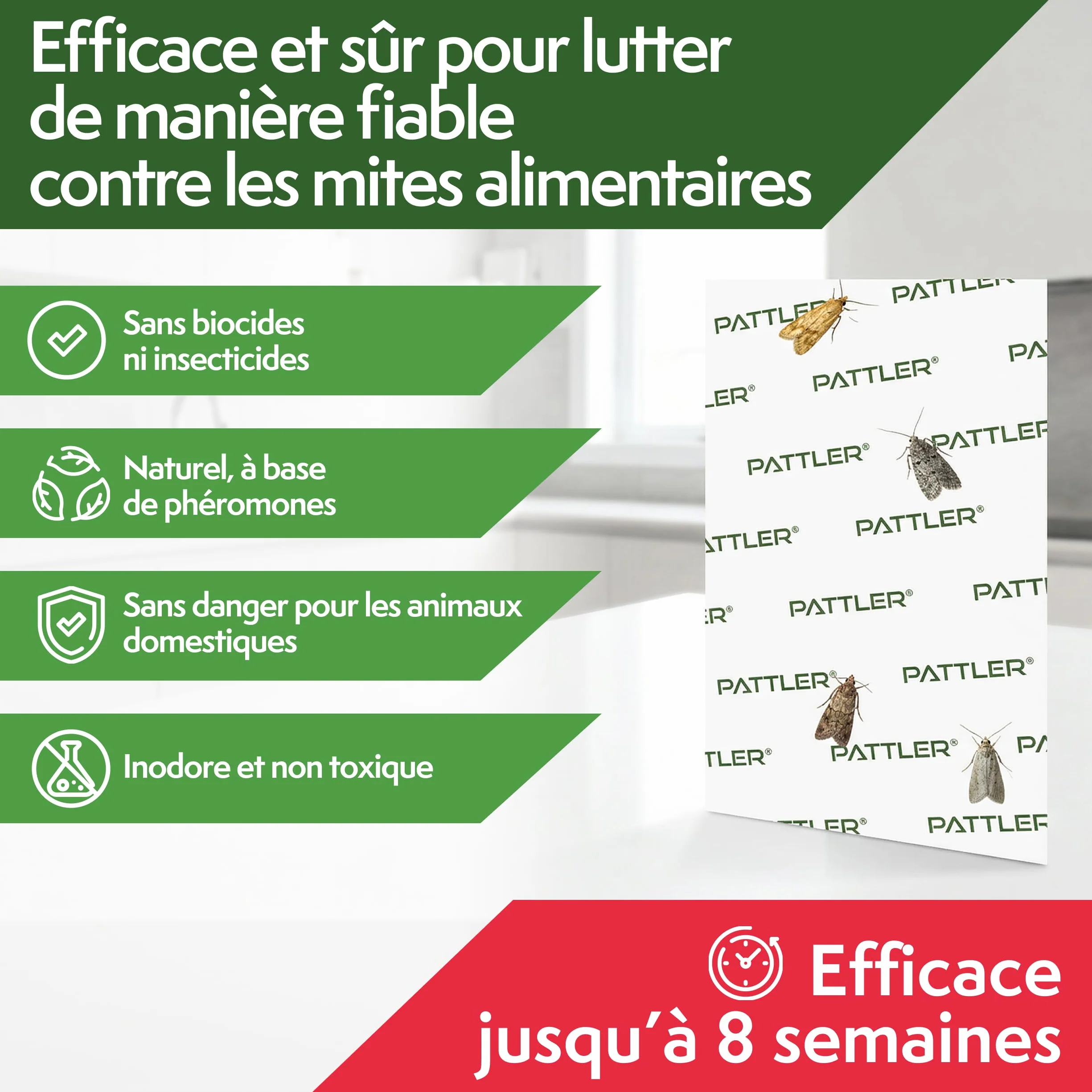 PATTLER Piege Mites Alimentaires Puissant à phéromone – 12 Pièces. Anti Mites Alimentaires sans Insecticide pour Garde-Manger et Cuisine. Capture e Contrôle des Infestations de Mites Alimentaires.