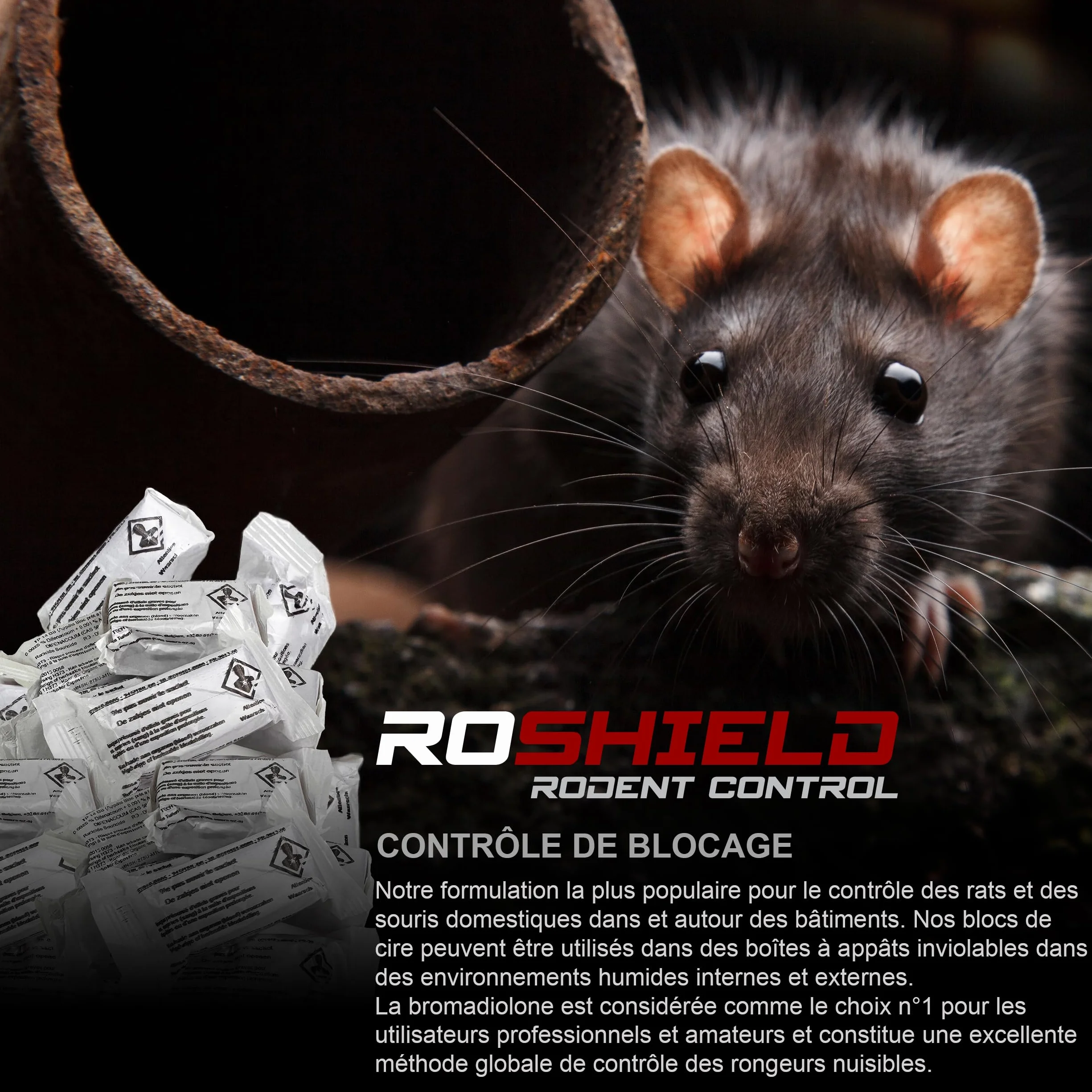 Roshield Anti Rats & Souris 600g Forte Infestation Habitation et Cuisine Efficace dès la 1ère Ingestion Idéal pour Lieux Secs & Humides (600g, 24x25g)