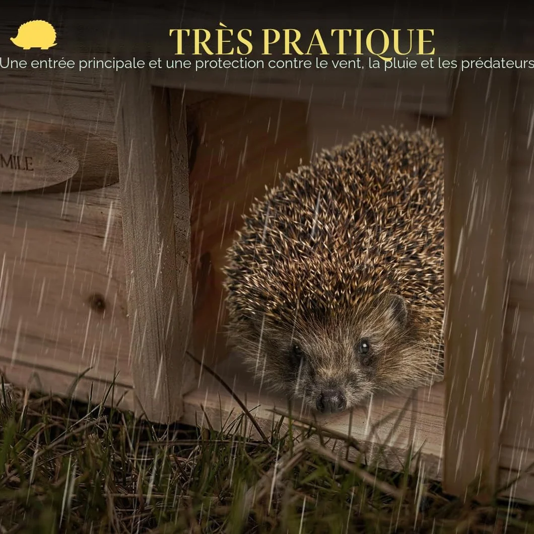 Maison pour hérisson en bois durable résistant aux prédateurs avec toit en feutre