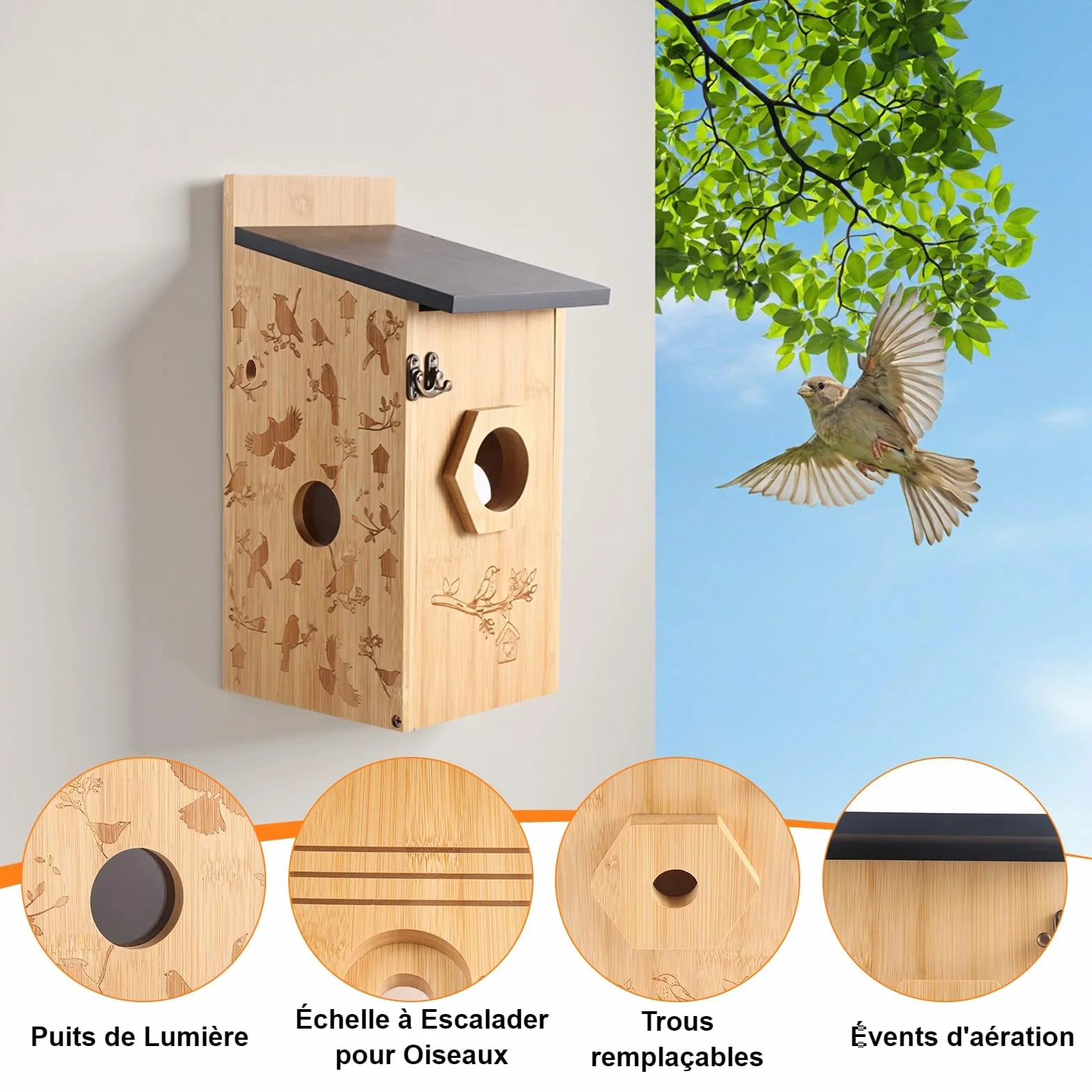 Nichoir Mésange avec Caméra 5MP Solaire WiFi 2,4G, Détection de Mouvement, Vision Nocturne