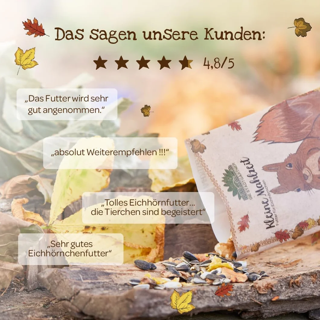 Die Stadtgärtner Petit repas - Nourriture pour écureuils - Contient des noisettes, des noix, des cynorrhodons, des raisins secs et des noix de cèdre - Nourriture naturelle pour les écureuils