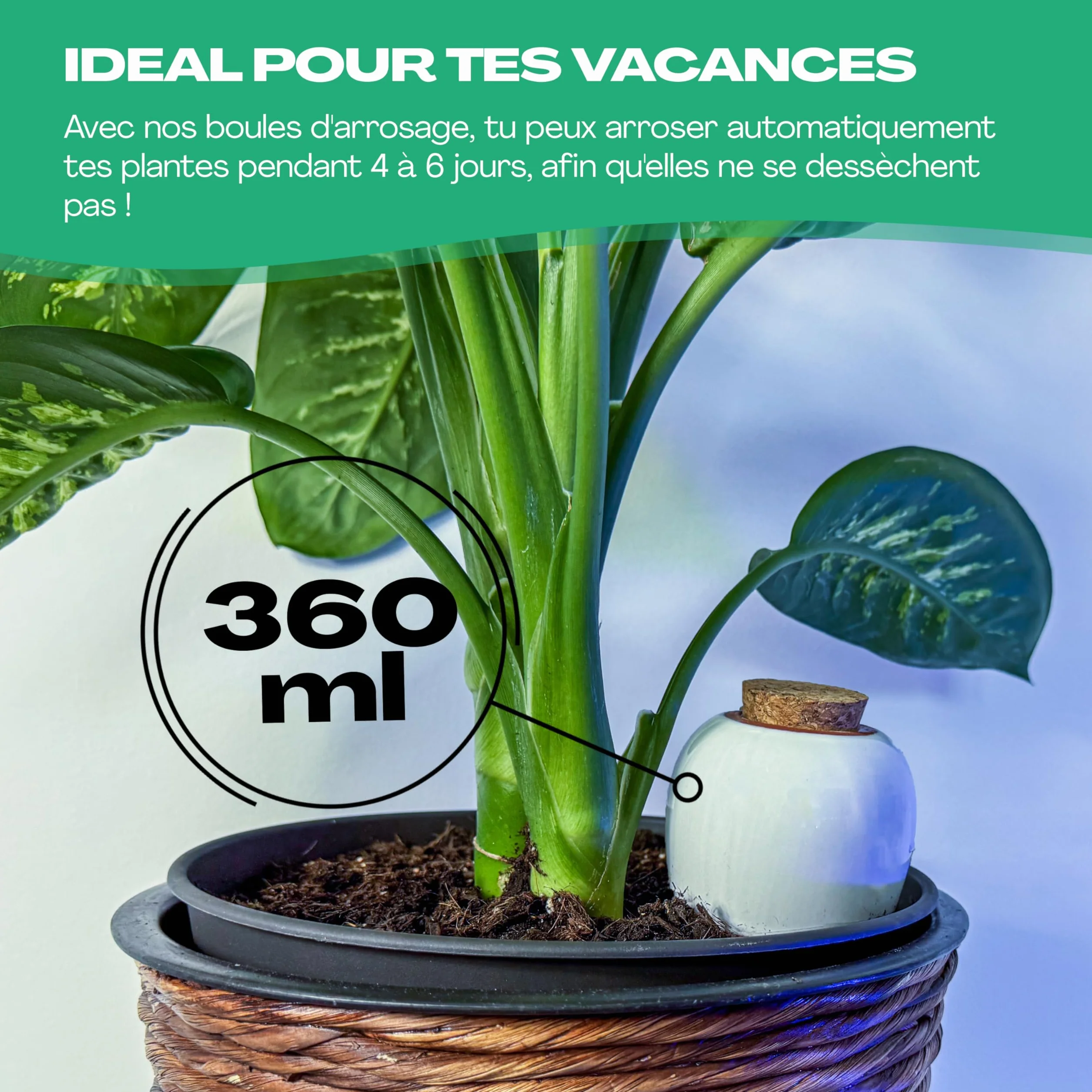 Netrox Cône d'irrigation en argile – 8x 360ml – idéal en vacances, jusqu'à 14 jours – arrosage automatique pour plantes d'intérieur, jardin et balcon – Irrigation, système d'irrigation, distributeur