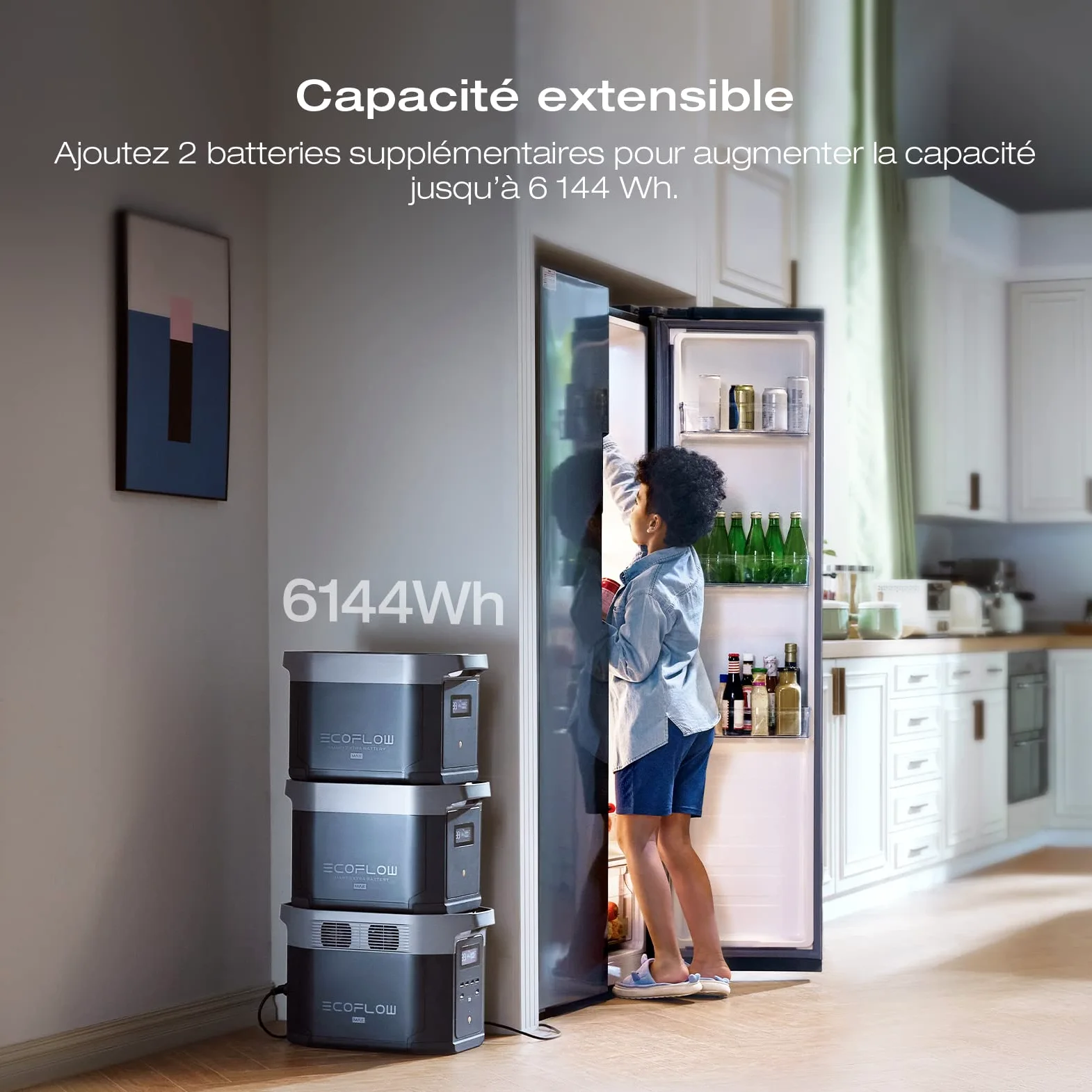 Station électrique portable EcoFlow DELTA 2 Max, capacité 2048Wh, batterie LFP, recharge rapide, seuls quelques petits défauts dans l'emballage, le produit n'a pas été utilisé(Reconditionné)