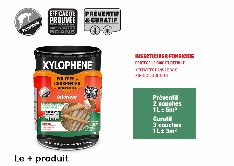 XYLOPHÈNE - Traitement Poutres & Charpentes - Anti Insectes - Traite les Bois de Charpente - Incolore - 5 l