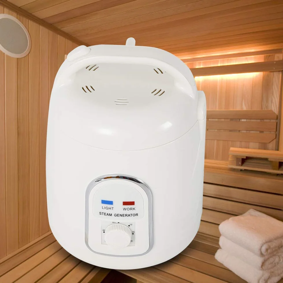 Générateur de vapeur 900 W 1,5 l Portable avec minuterie