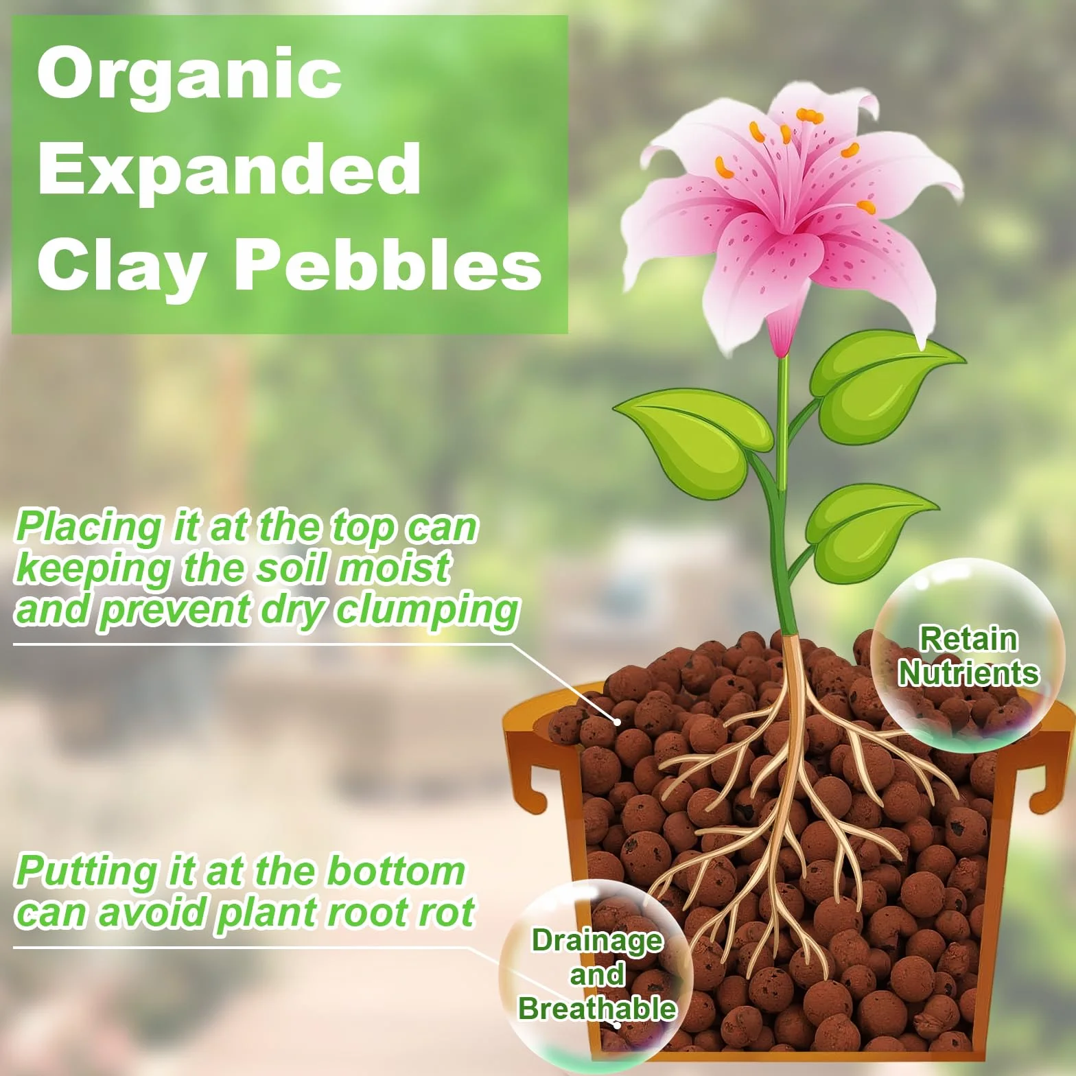 Riare Galets d'argile expansés organiques pour plantes, boules de leca naturelles, galets d'argile hydroponiques légers (2 L)