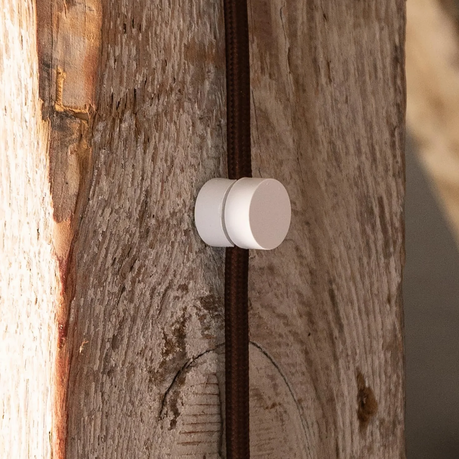 Support Mural et Plafonnier pour Câbles 8 pièces Blanc Ø20x18 mm Fixation au Plafond avec vis et chevilles