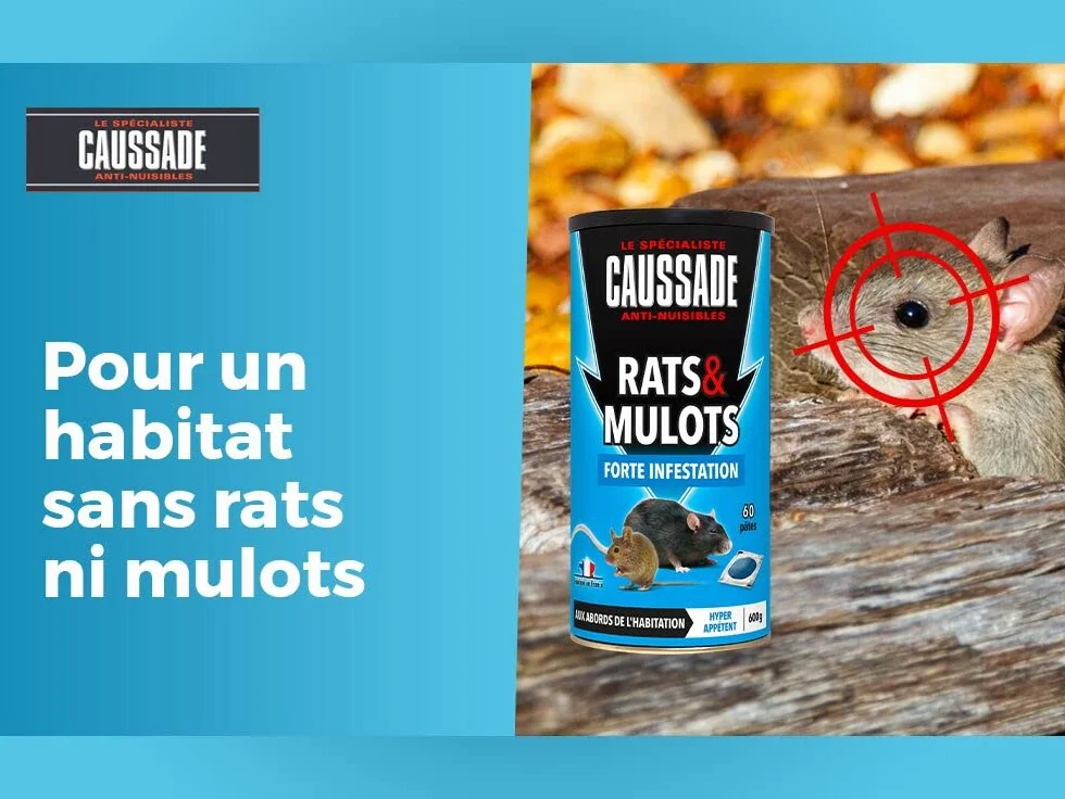 Caussade Anti Rats & Mulots - Efficacité Radicale - Lieux secs & humides - 60 sachets Pâtes - prêt à l'emploi - Une Ingestion Suffit – Fabriqué en France - 600g CARMUPT600