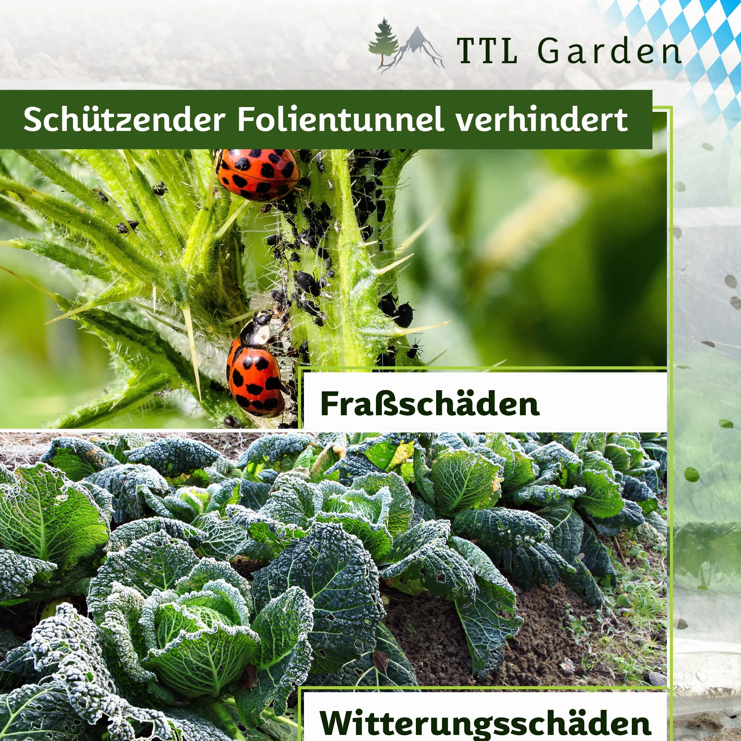 TTL GARDEN Quick&Easy Tunnel en film plastique 300 x 45 x 30 cm avec film polyéthylène – Tunnel en film plastique de 3 m immédiatement utilisable avec cordon 7 arcs de tunnels, pour plate-bande