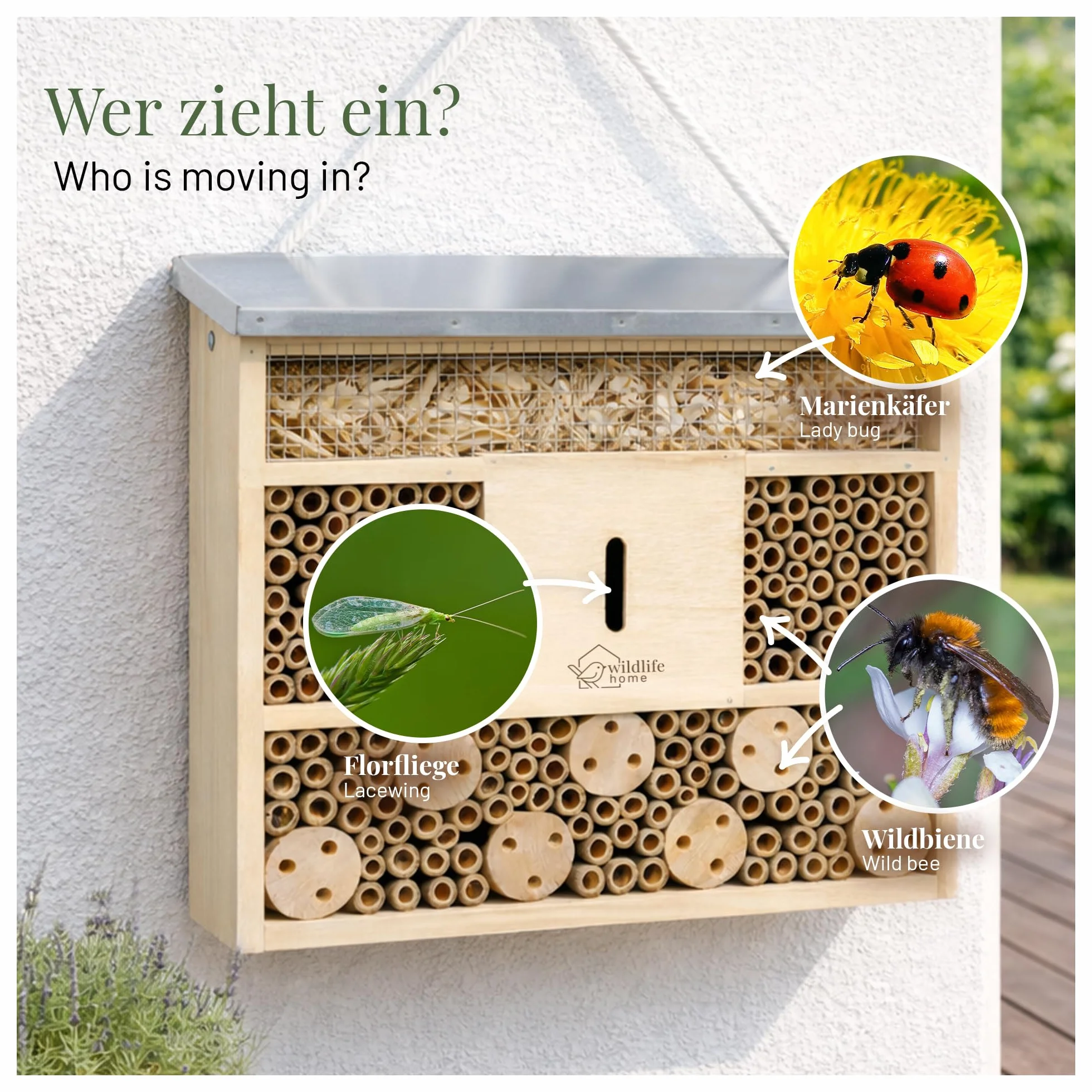 Hôtel à insectes WILDLIFE HOME avec toit en métal, bois massif non traité pour abeilles, coccinelles et chrysopes