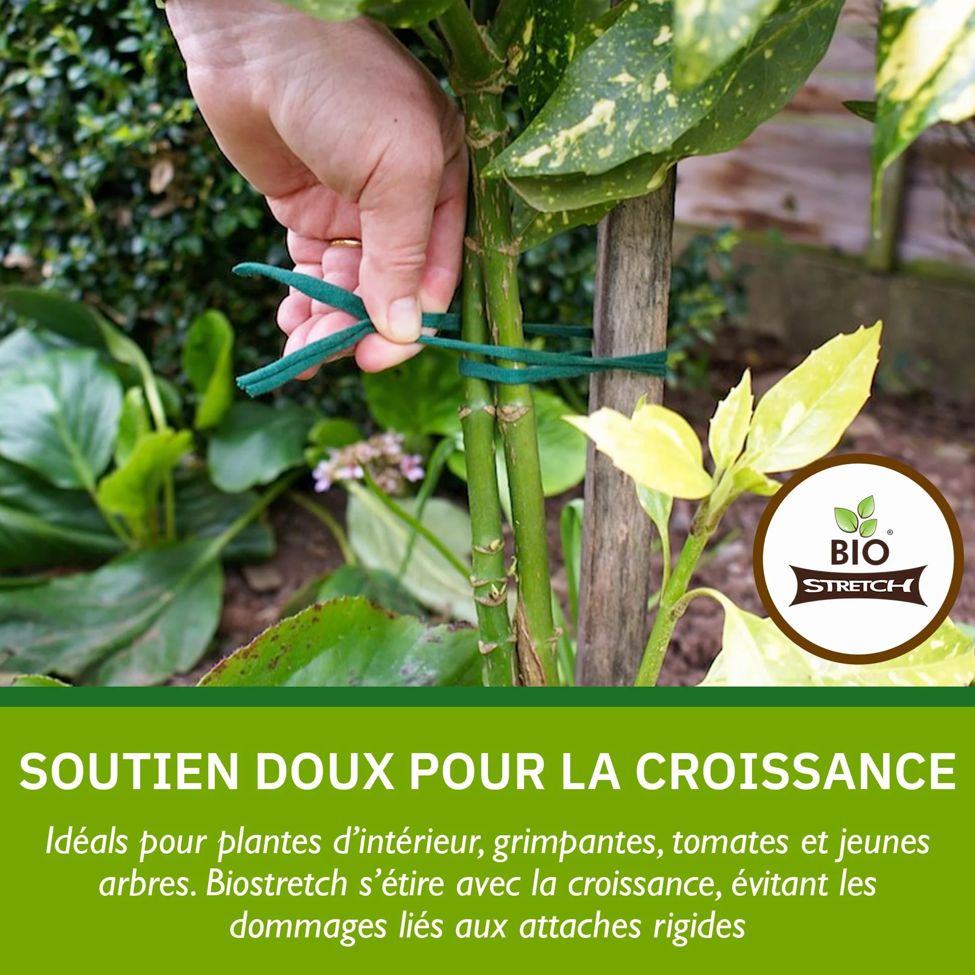 Bio-Stretch Liens de Jardin Souples pour Plantes d’Intérieur et d’Extérieur – Résistants et Extensibles, Ficelle Découpable pour Plantes Grimpantes, Tomates et Jardinage à Domicile (40m / Vert)