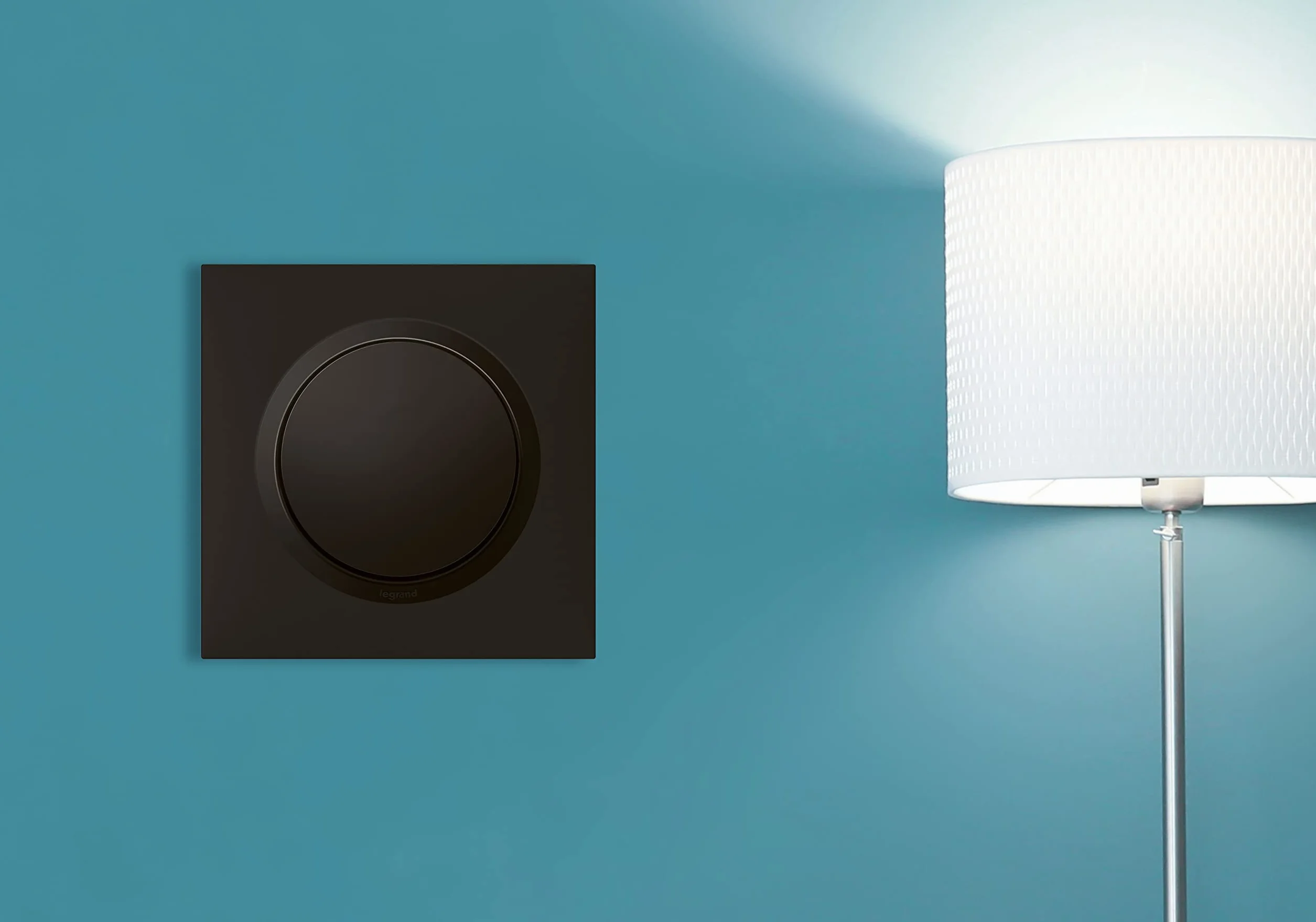 Legrand Interrupteur Mural Simple ou Va-et-vient 10AX Noir Commande d'Éclairage Sans Plaque
