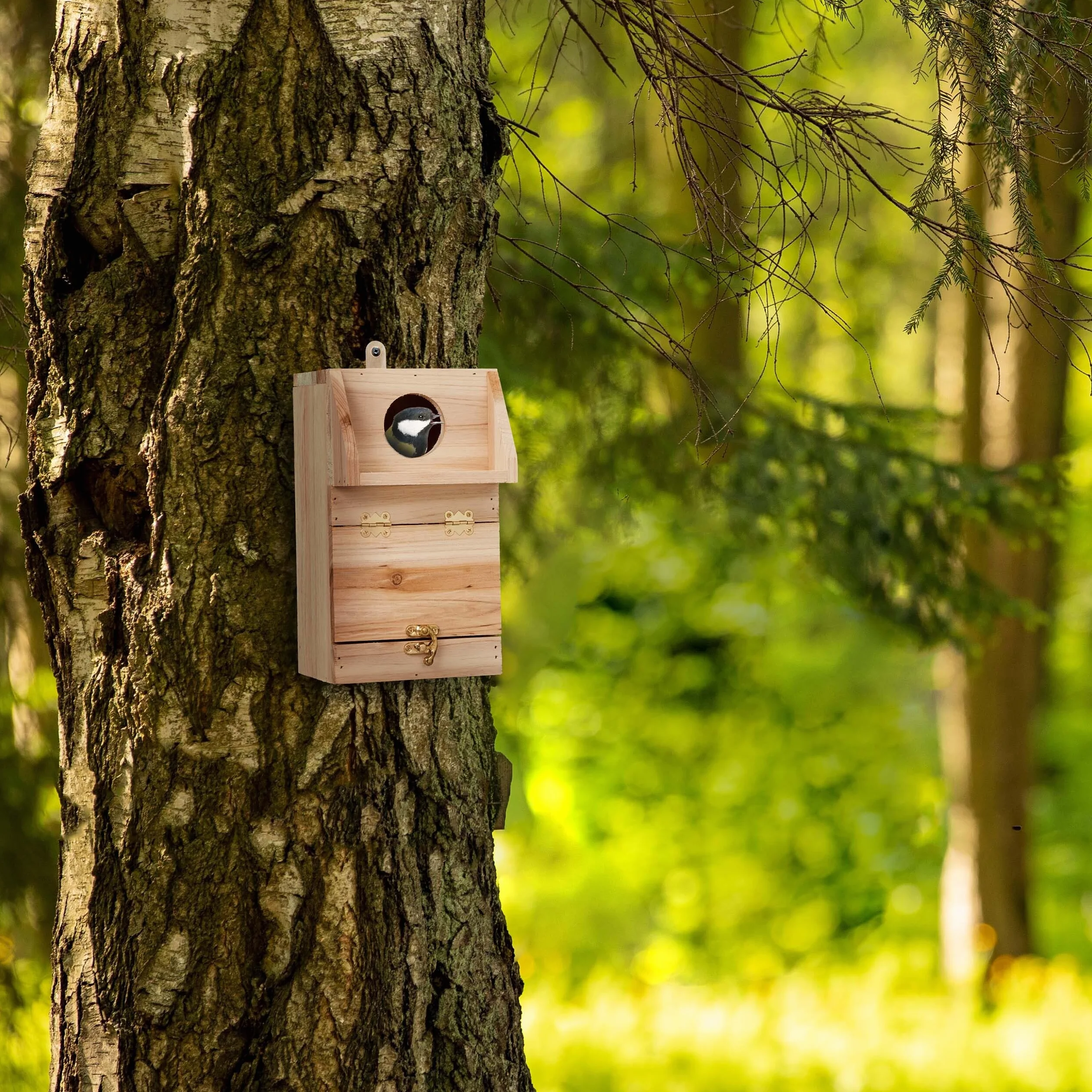Relaxdays Nichoir d'extérieur pour Oiseaux Bois Suspendre 24,5 x 14 x 14 cm