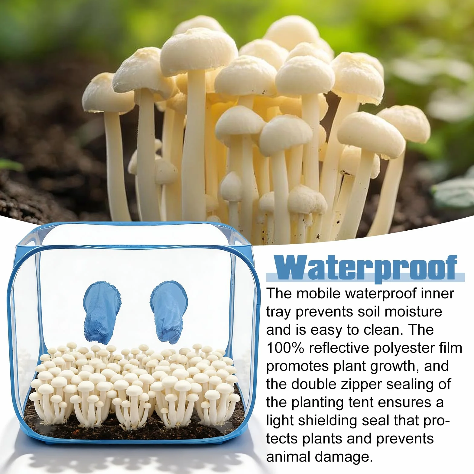 Conteneur de culture de champignons portable 60 x 60 x 90 cm pliable avec ouvertures pour les bras
