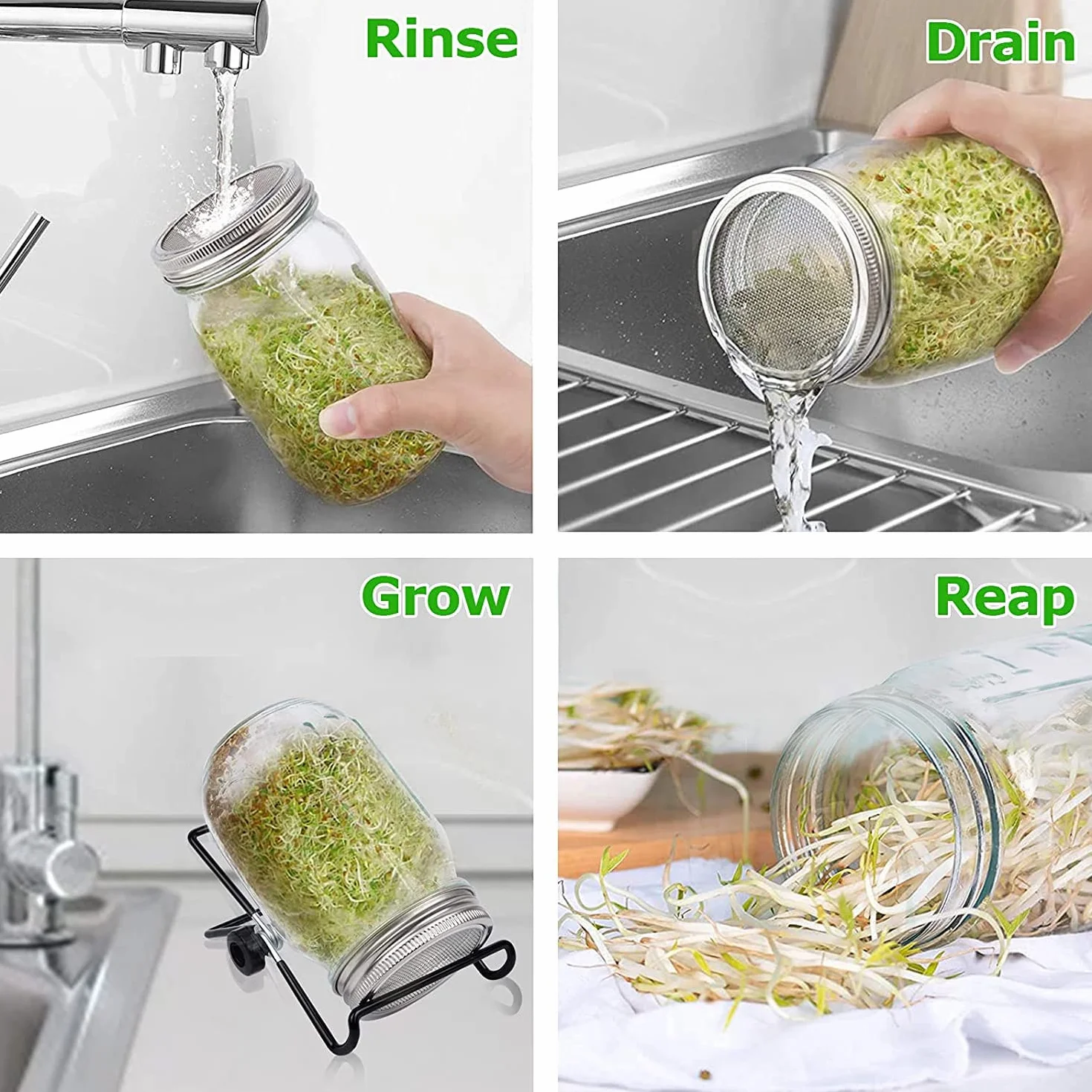 Kit de germination de graines Retoteng avec couvercles inox, supports, germinateur pour microgreens luzerne, brocoli et salade de haricots