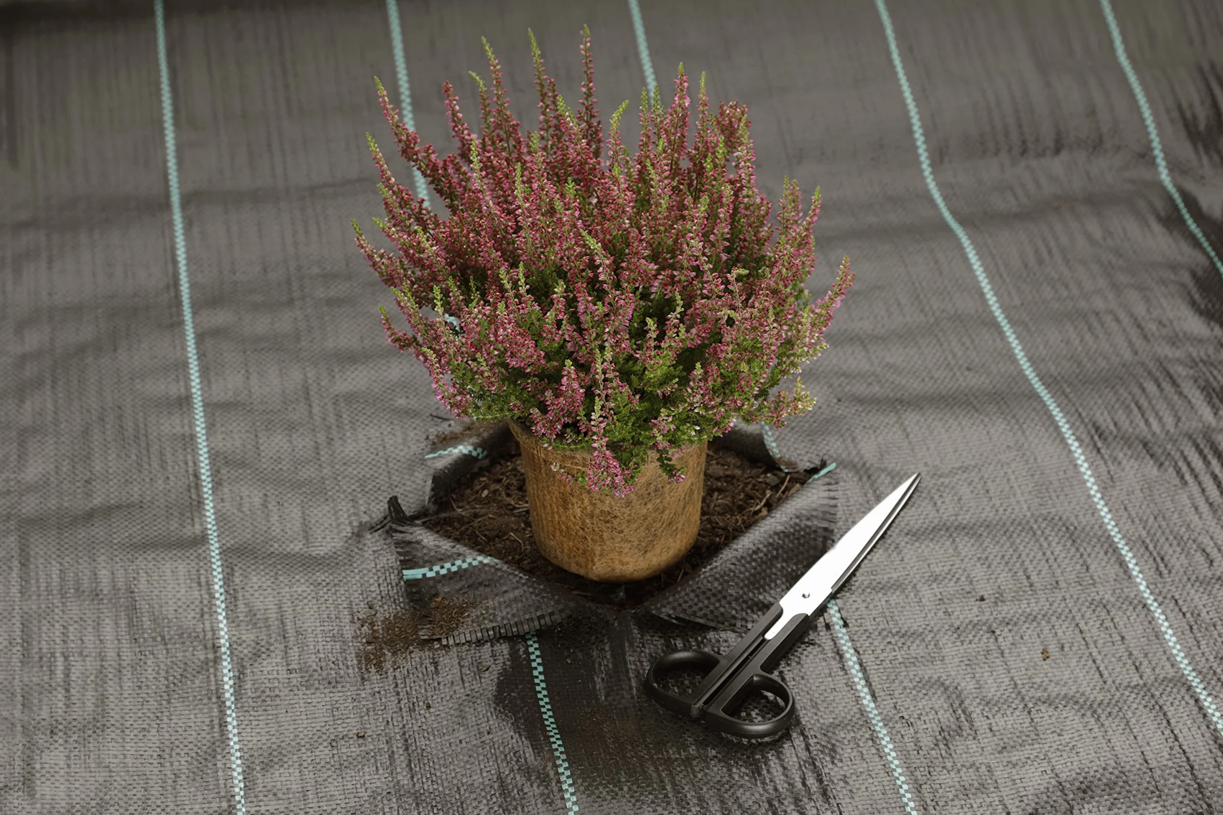 GardenMate Toile Anti-Mauvaises Herbes 2x15m 30m2 résistante UV