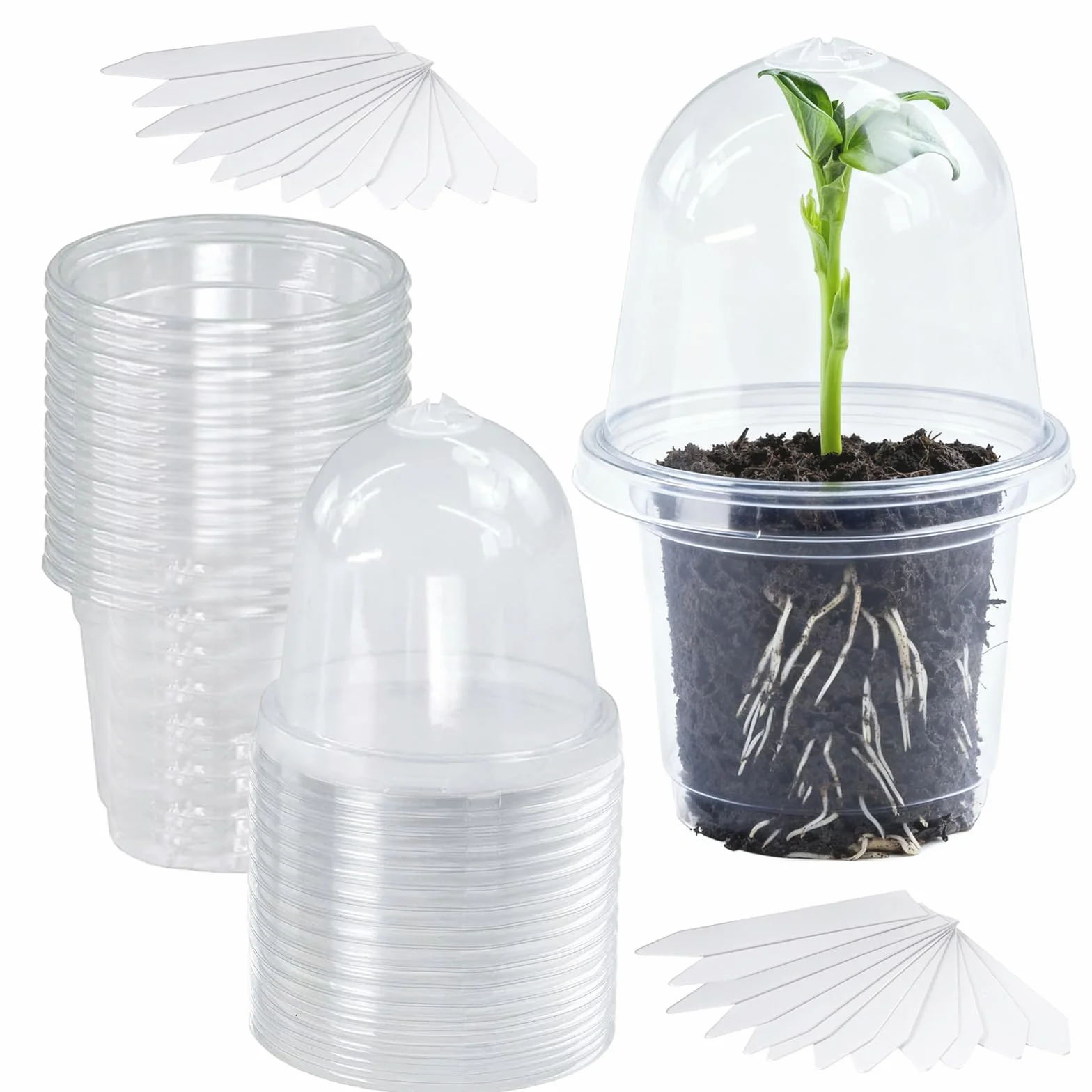 Pot de Fleurs, 24 Pièces Pot Transparent Plante avec Couvercles, 9 cm de Diamètre, Pots de Culture en Plastique, Pots de Fleurs avec 24 Étiquettes Plates, pour Plantes Grasses, Semis