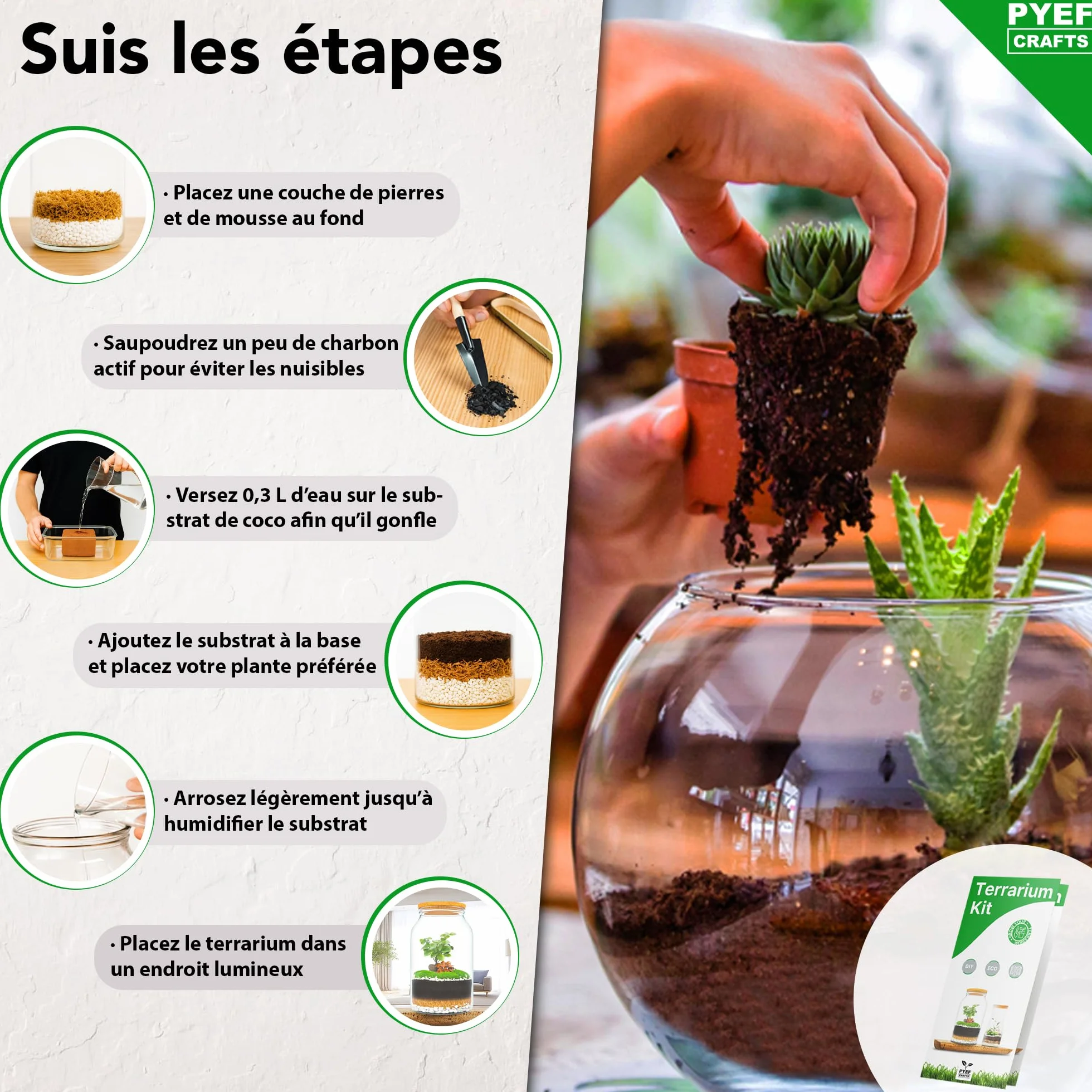 Terrarium Verre XL Kit DIY 4L Jardin en Bouteille